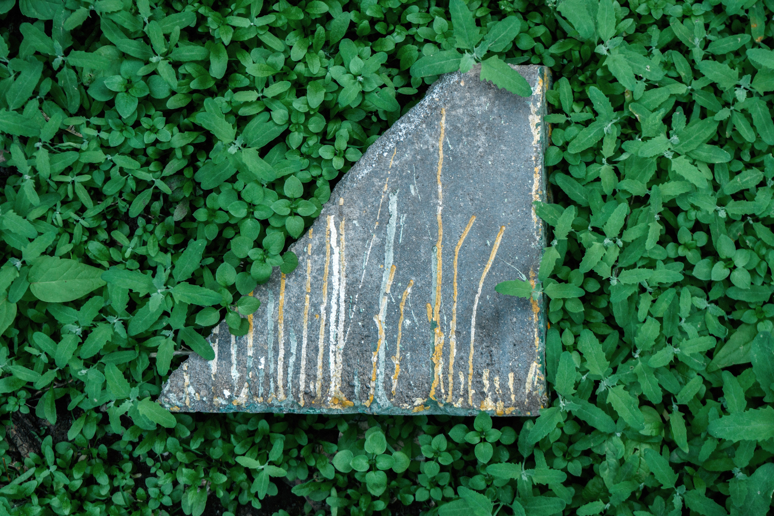 Симуляторы (Каталог № 4). Главная