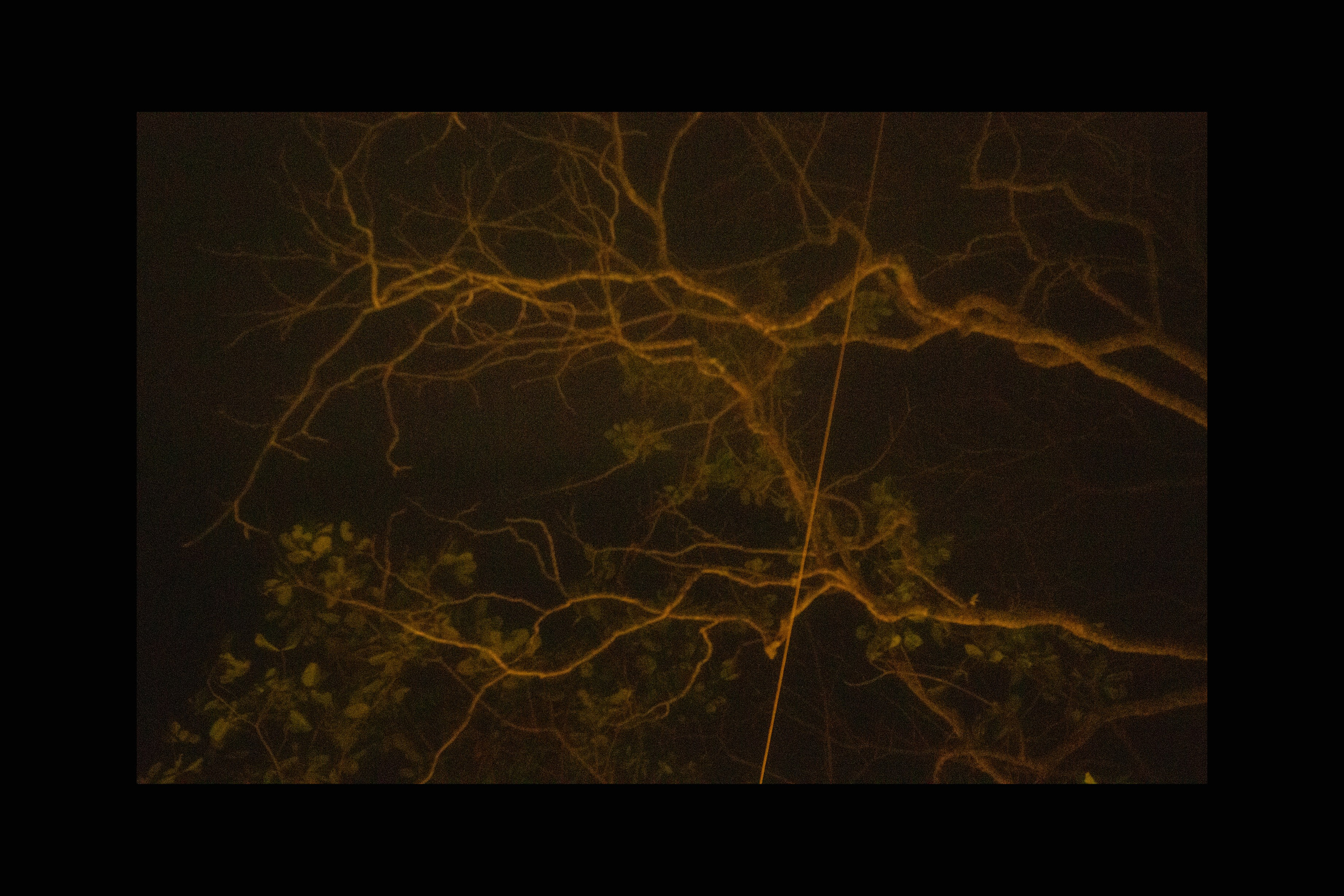 Вдохнуть небо. Сайт Фотографа MASHASOLAR