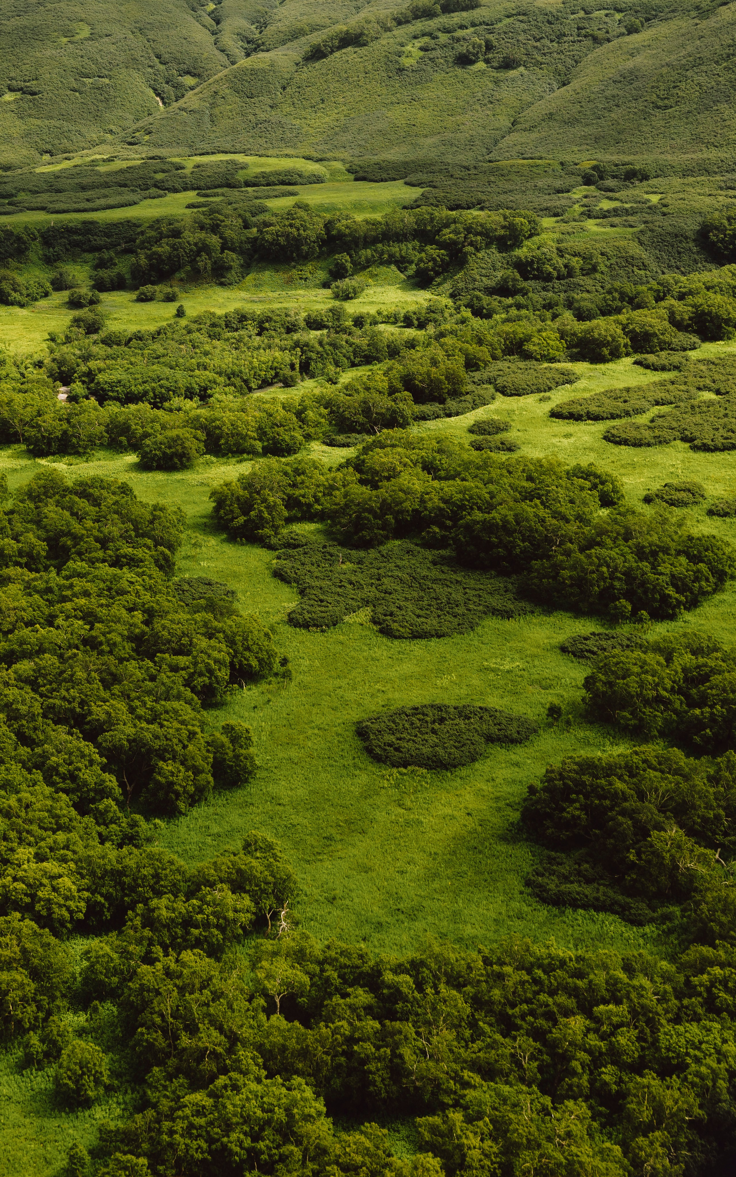 Репортаж туризм. Фотограф на Камчатке