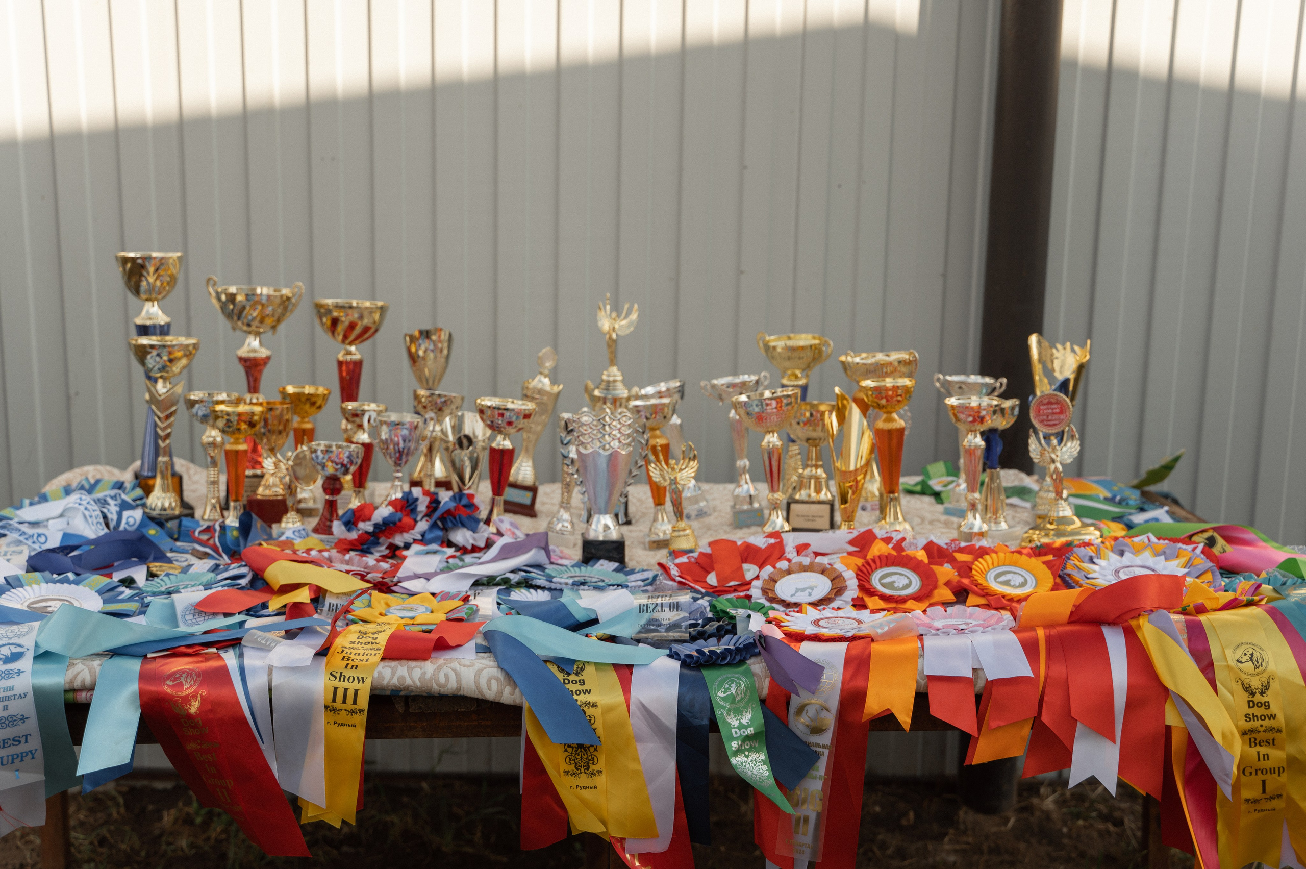 Мероприятия. ФОТОГРАФ/РУДНЫЙ/КОСТАНАЙ