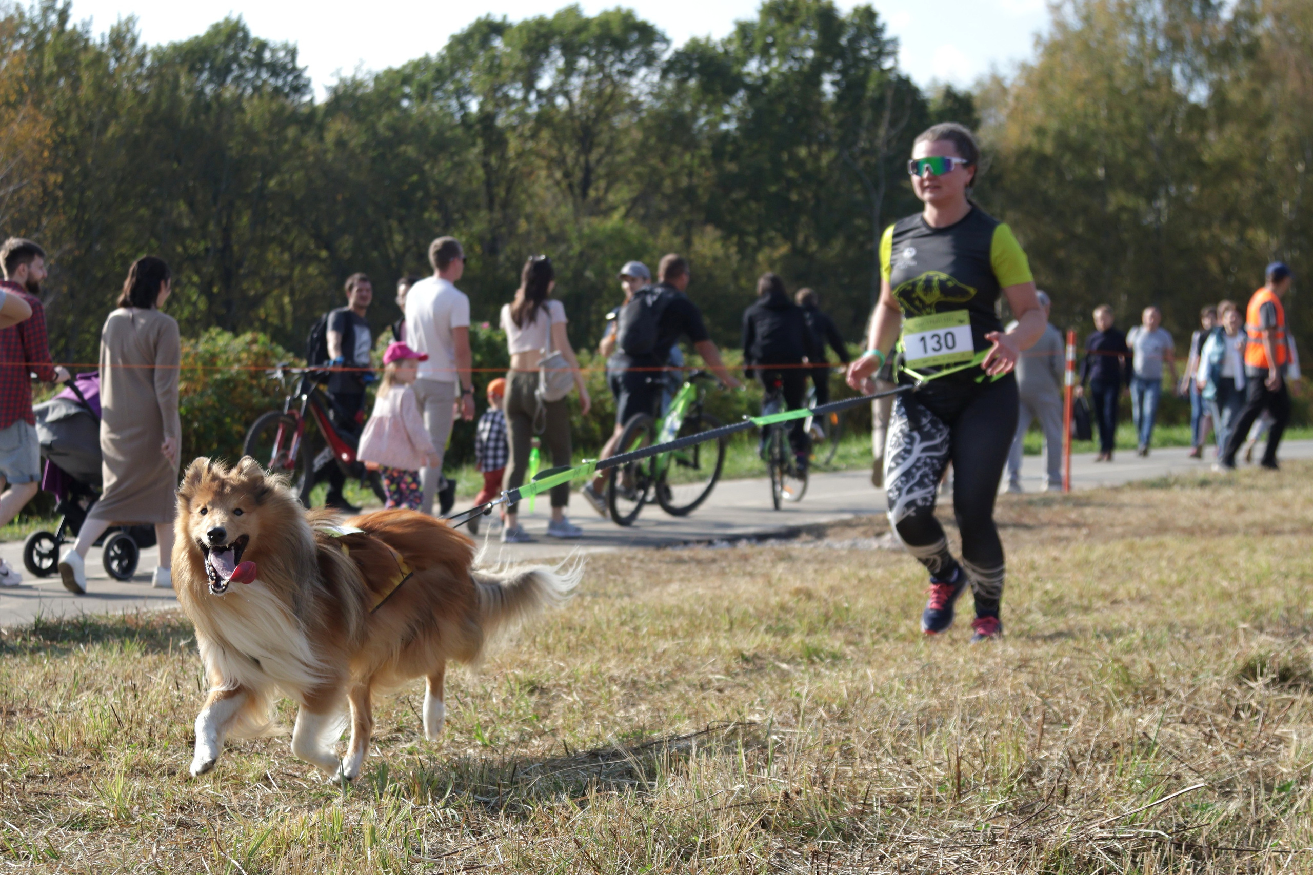 Спорт с животными. Спортивный и репортажный фотограф Ермакова Светлана