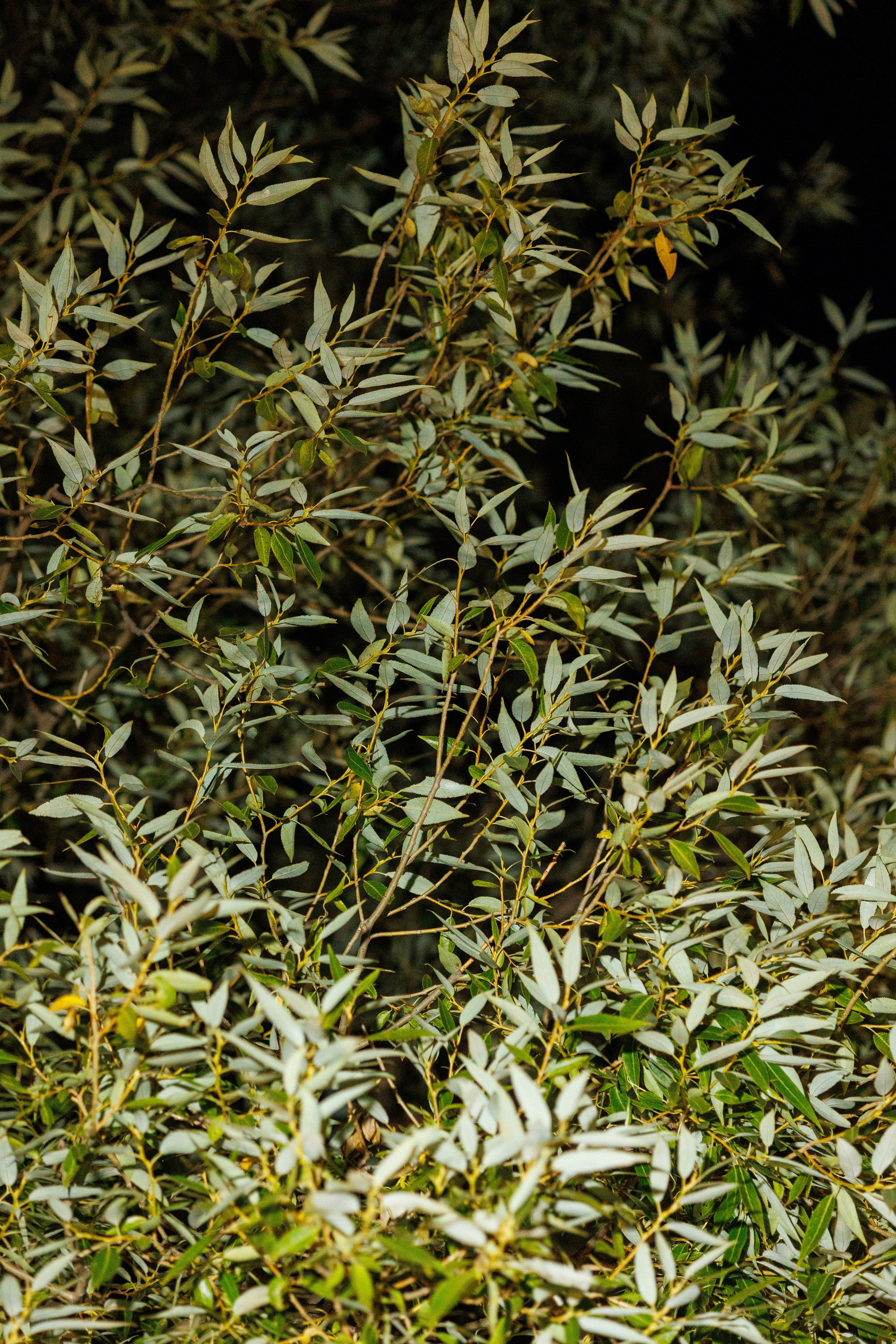 Тимбилдинг в «Улетай». Фотограф Александр Тулупов