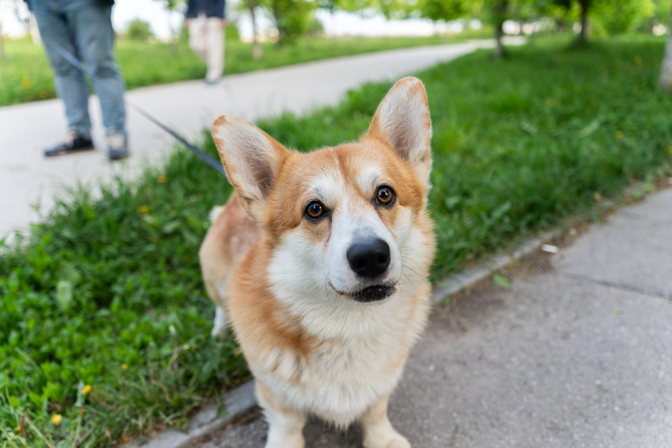 Новый фотик. Design by — фото, обучение, портфолио. Фотограф Рязань