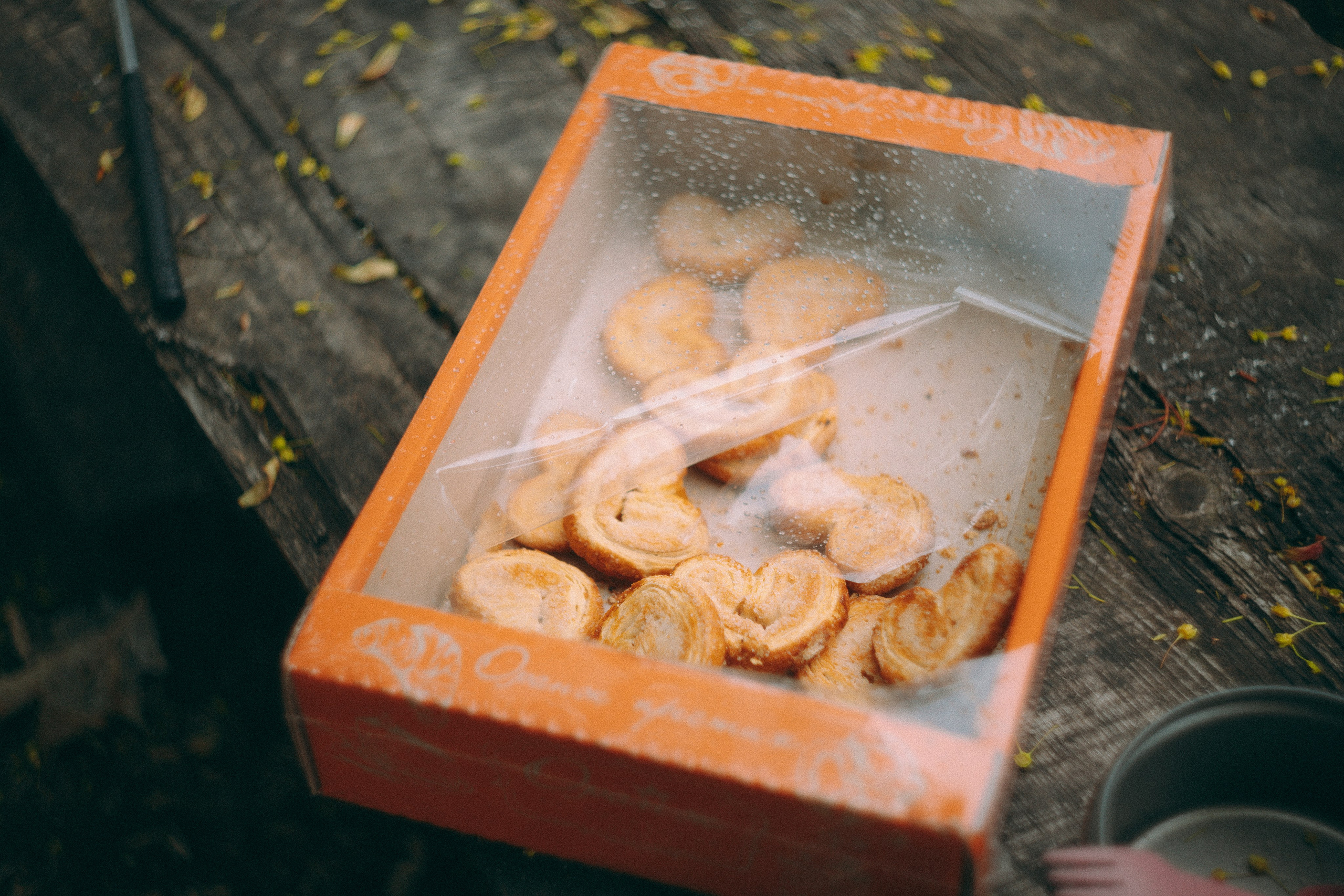 Кавказ. Фотограф Санкт-Петербург Макарова Дарья