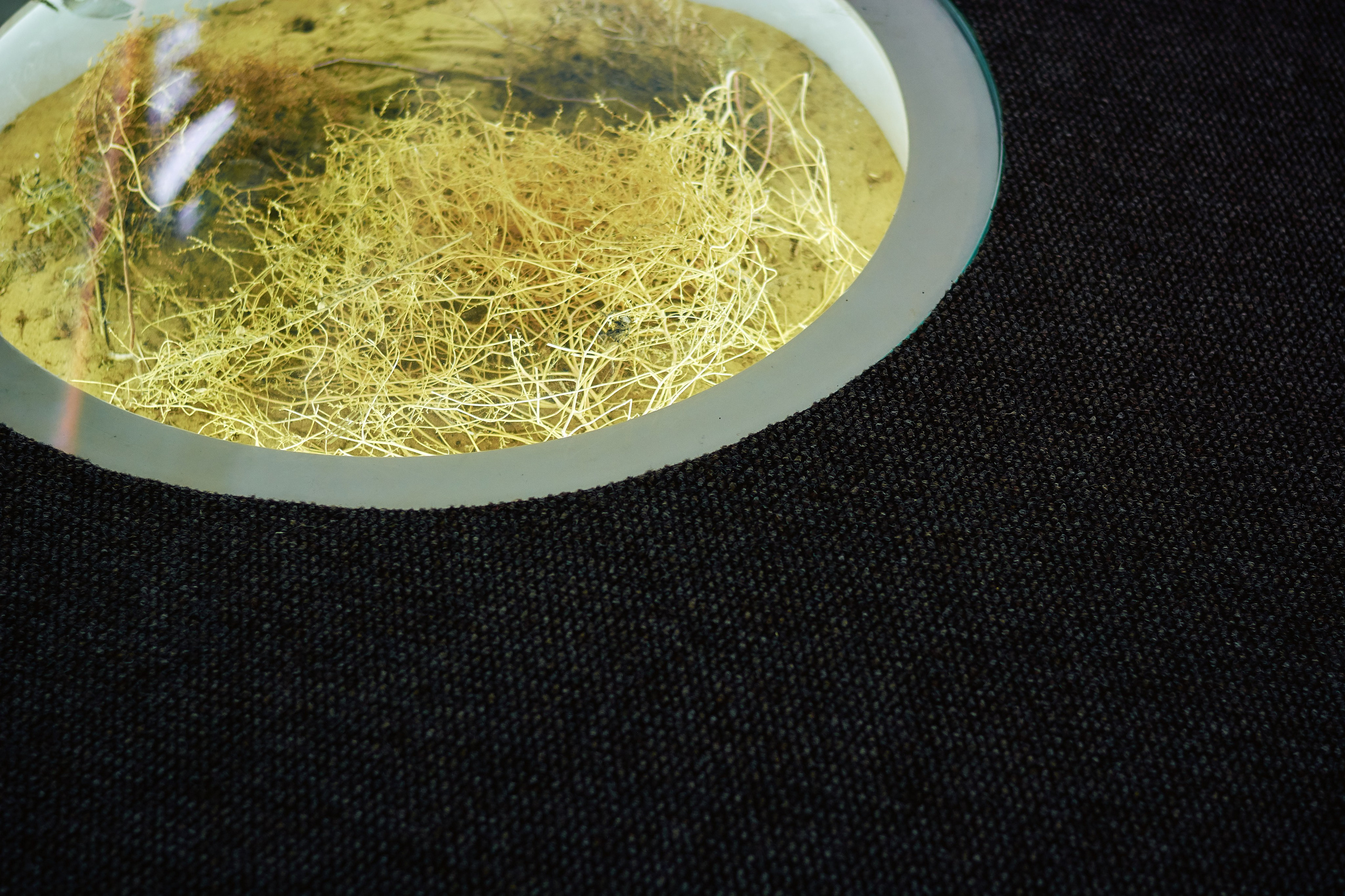 Интерьерная съемка Визит-центр Национальный парк «Кисловодский». Константин Кордонский | Интерьерный и food-фотограф в Кисловодске и КМВ