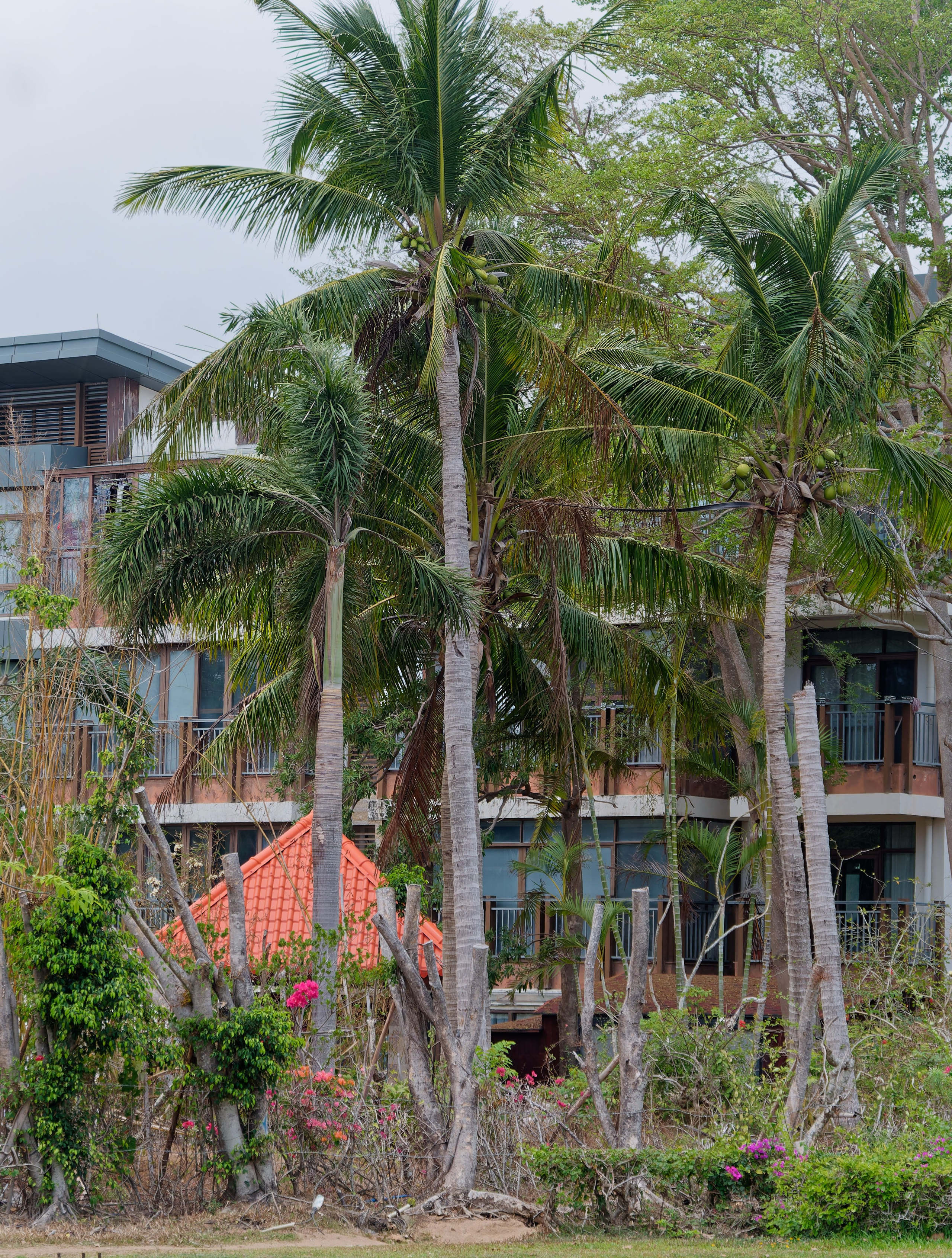 Хайнань 2026, улицы Ялунвань и Саньи. Фотопрогулки по Миру