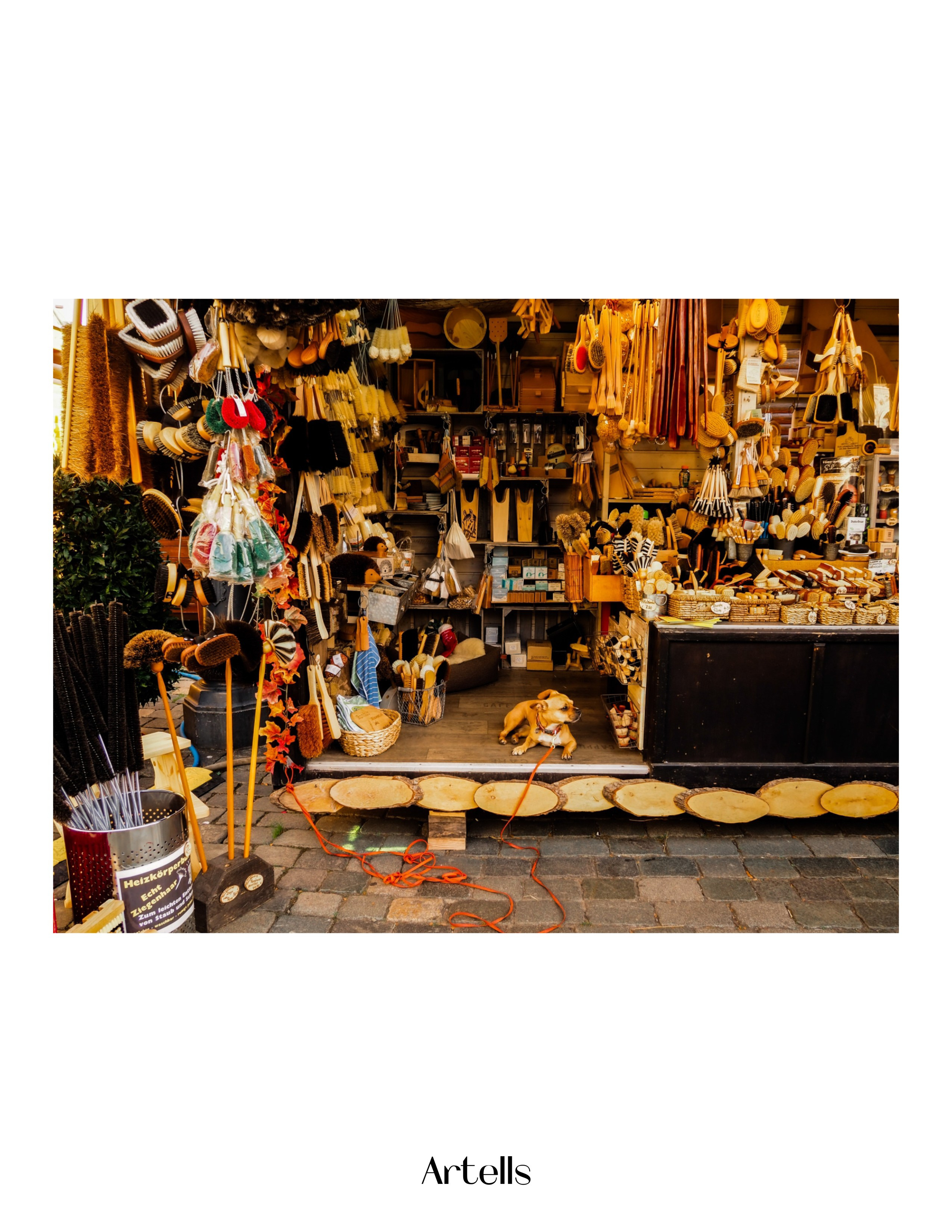 Публикации. Репортажный фотограф в Берлине Александра Герман