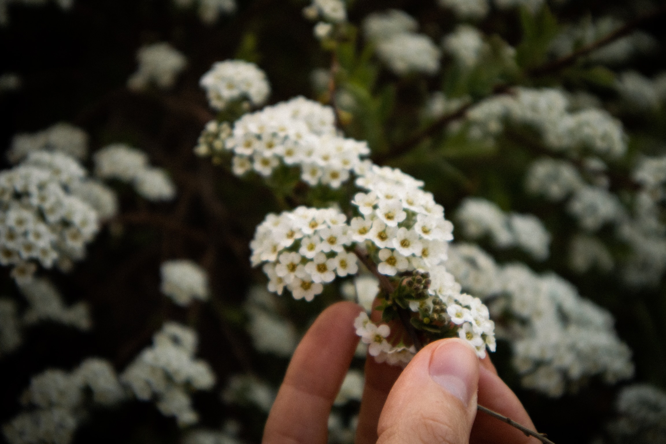 Валентина и София. ФОТОГРАФ ЕКАТЕРИНБУРГ | МАРГАЧЕВ