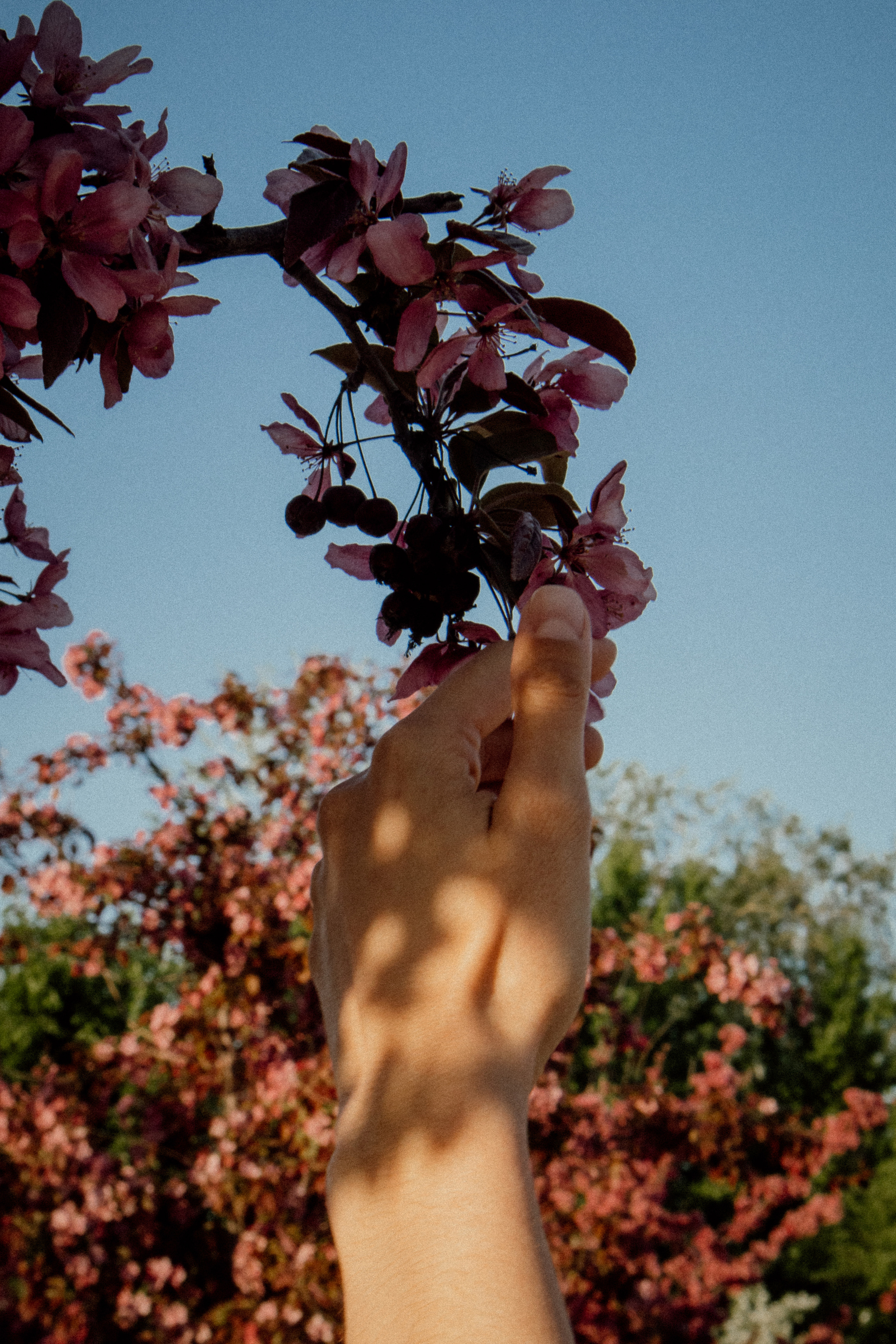 Александр и Мария. ФОТОГРАФ ЕКАТЕРИНБУРГ | МАРГАЧЕВ