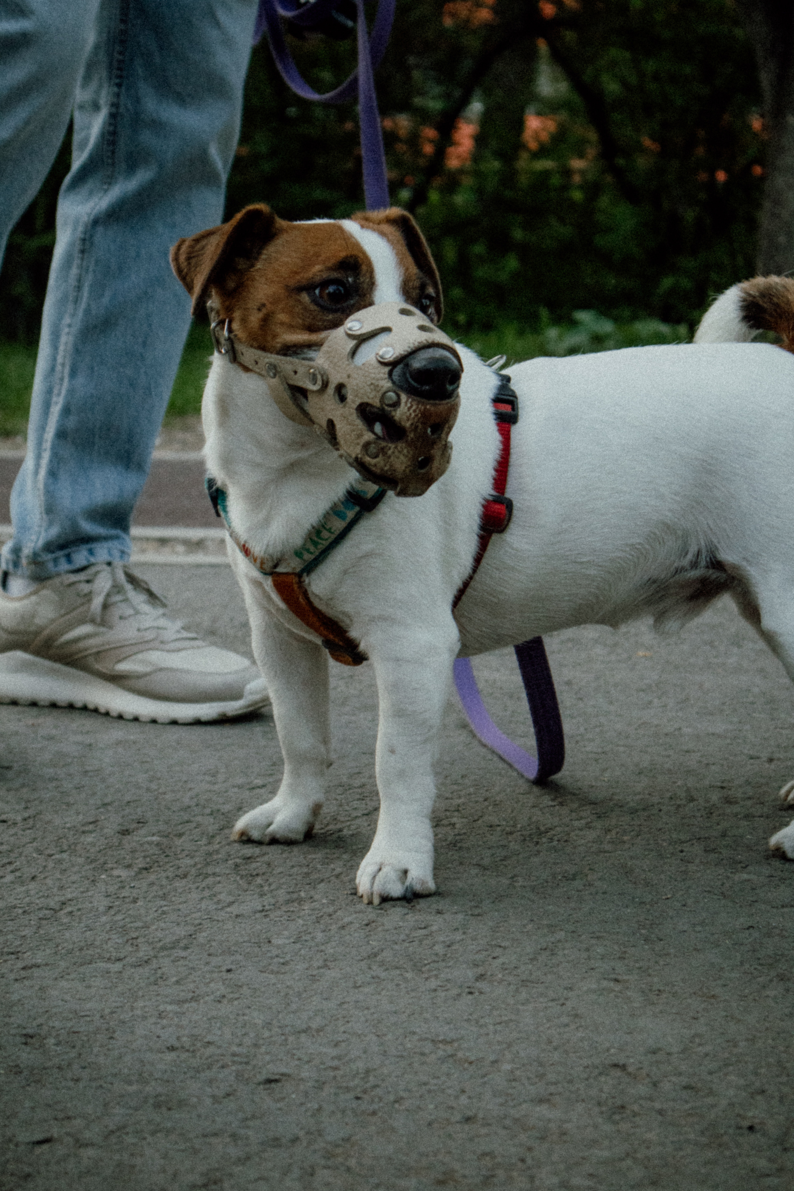 Кевин. ФОТОГРАФ ЕКАТЕРИНБУРГ | МАРГАЧЕВ