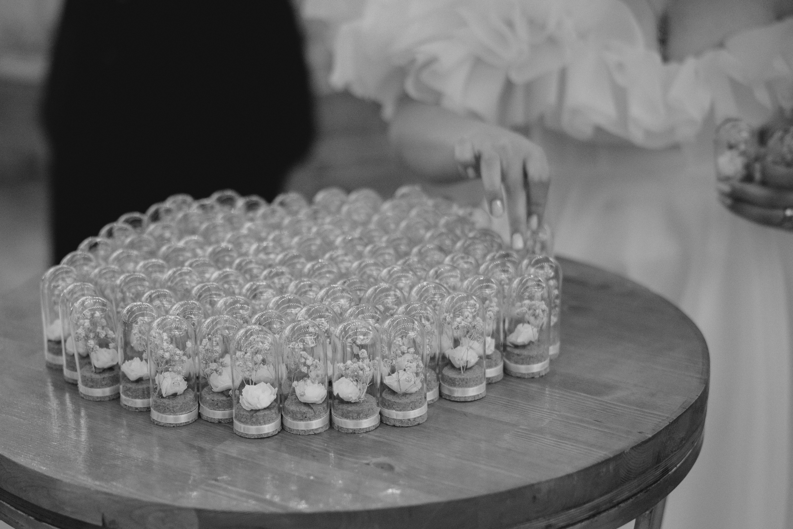 Михаил & Лусине