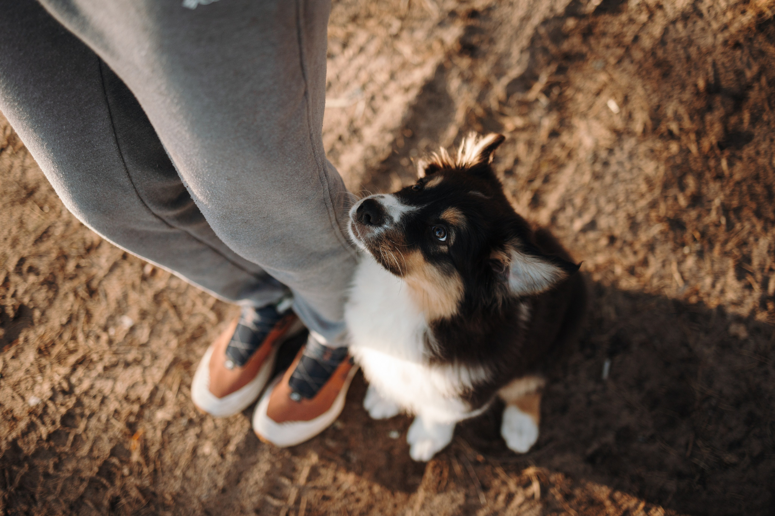 Ира и Шмель. Фотограф — Анималист | Санкт-Петербург