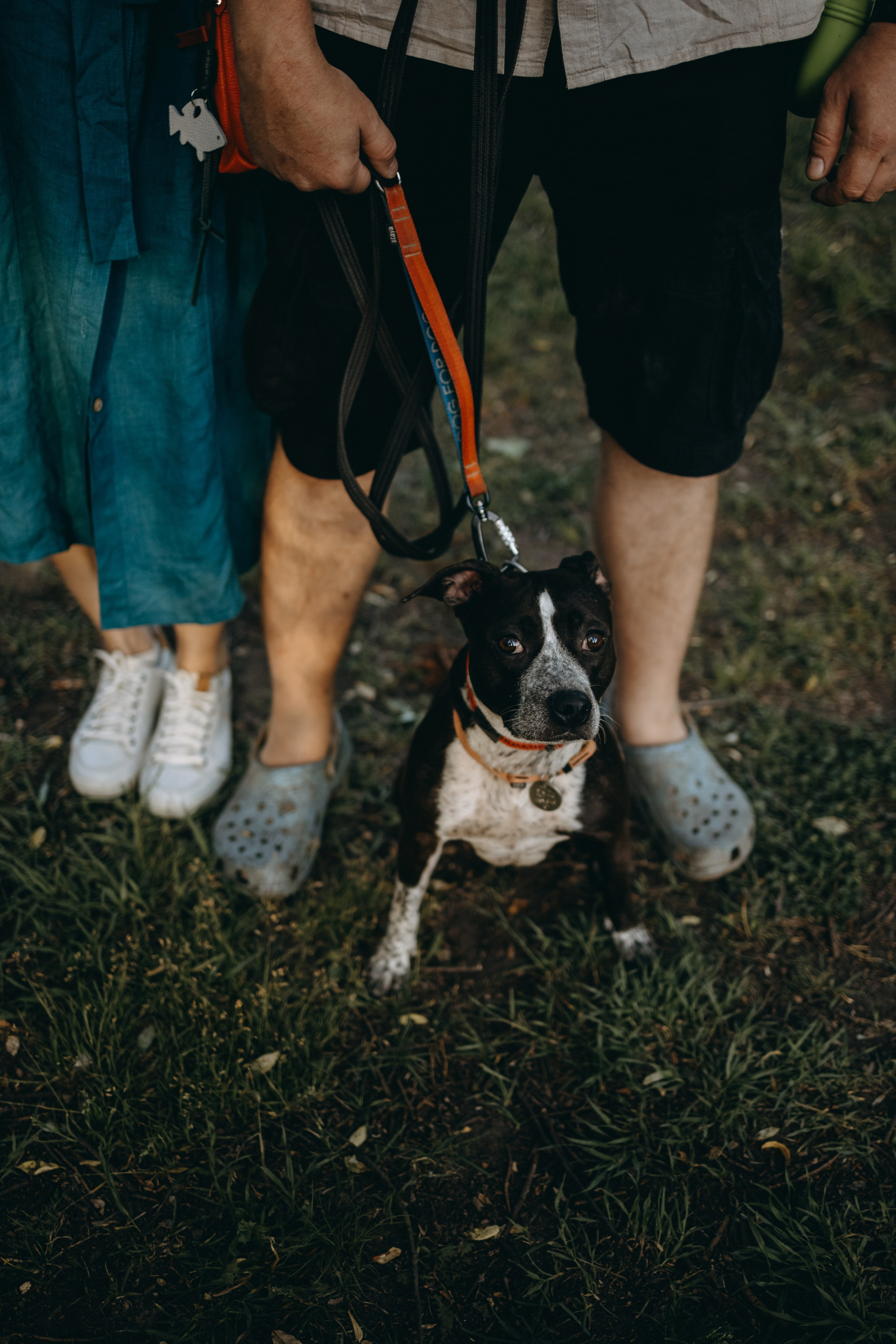 Татьяна, Сергей и их Булочка и Пончик. Фотограф — Анималист | Санкт-Петербург