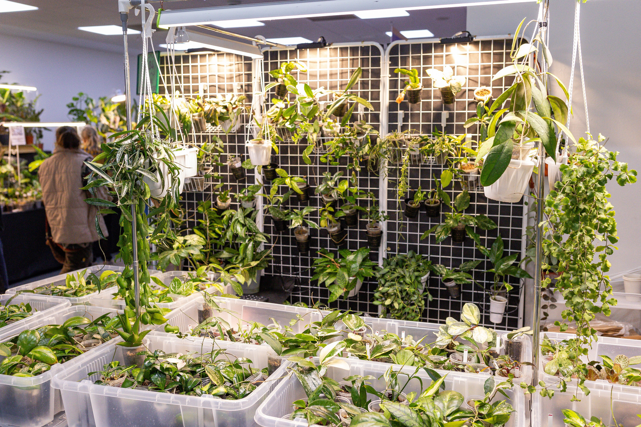 Монстериум апрель 2025. Александра Куликова фотограф, Москва