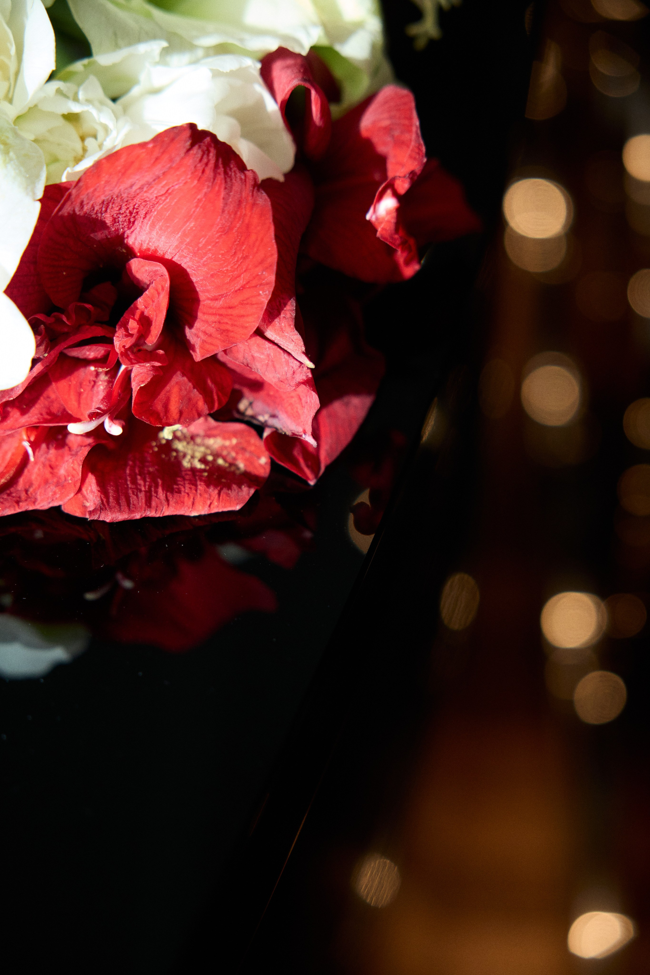 Портфолио. Свадебный фотограф Соколов Валерий