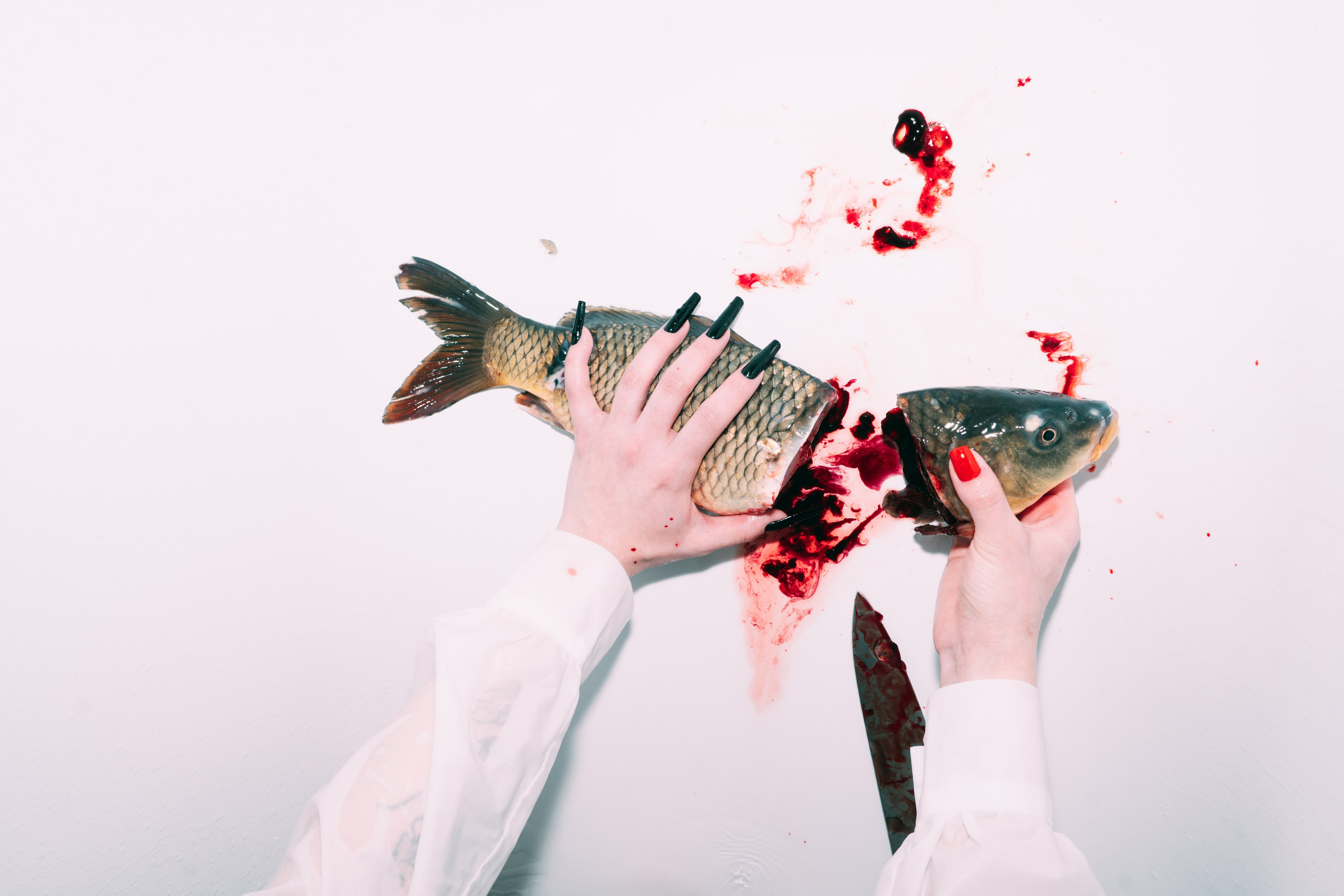 Carp Grisha. Sasha Speranskii — Conceptual Photographer | Based in Moscow