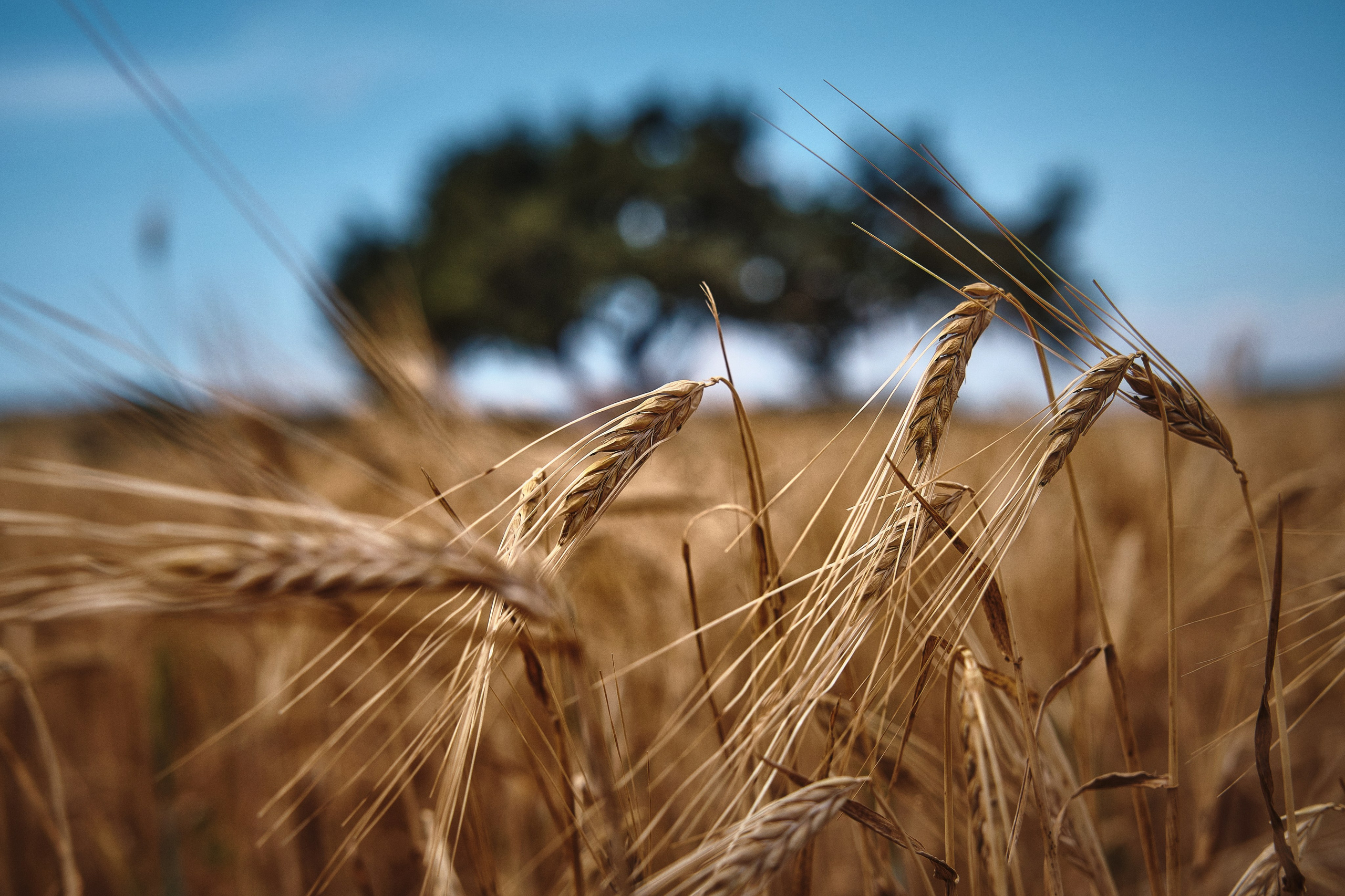 Cyprus / 2023. Aleksandr Kobtsev