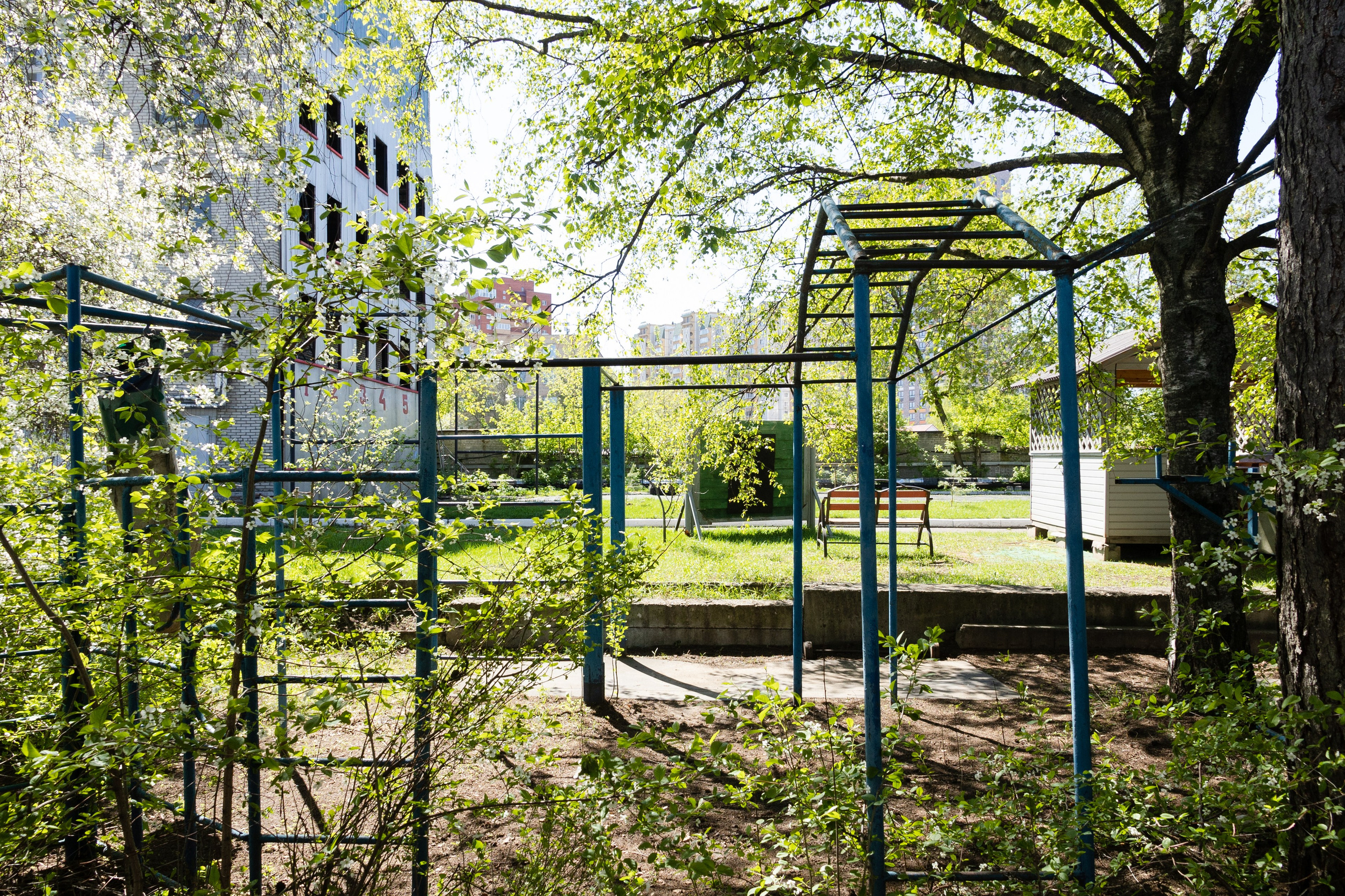 Часть. DASHA KALNINA