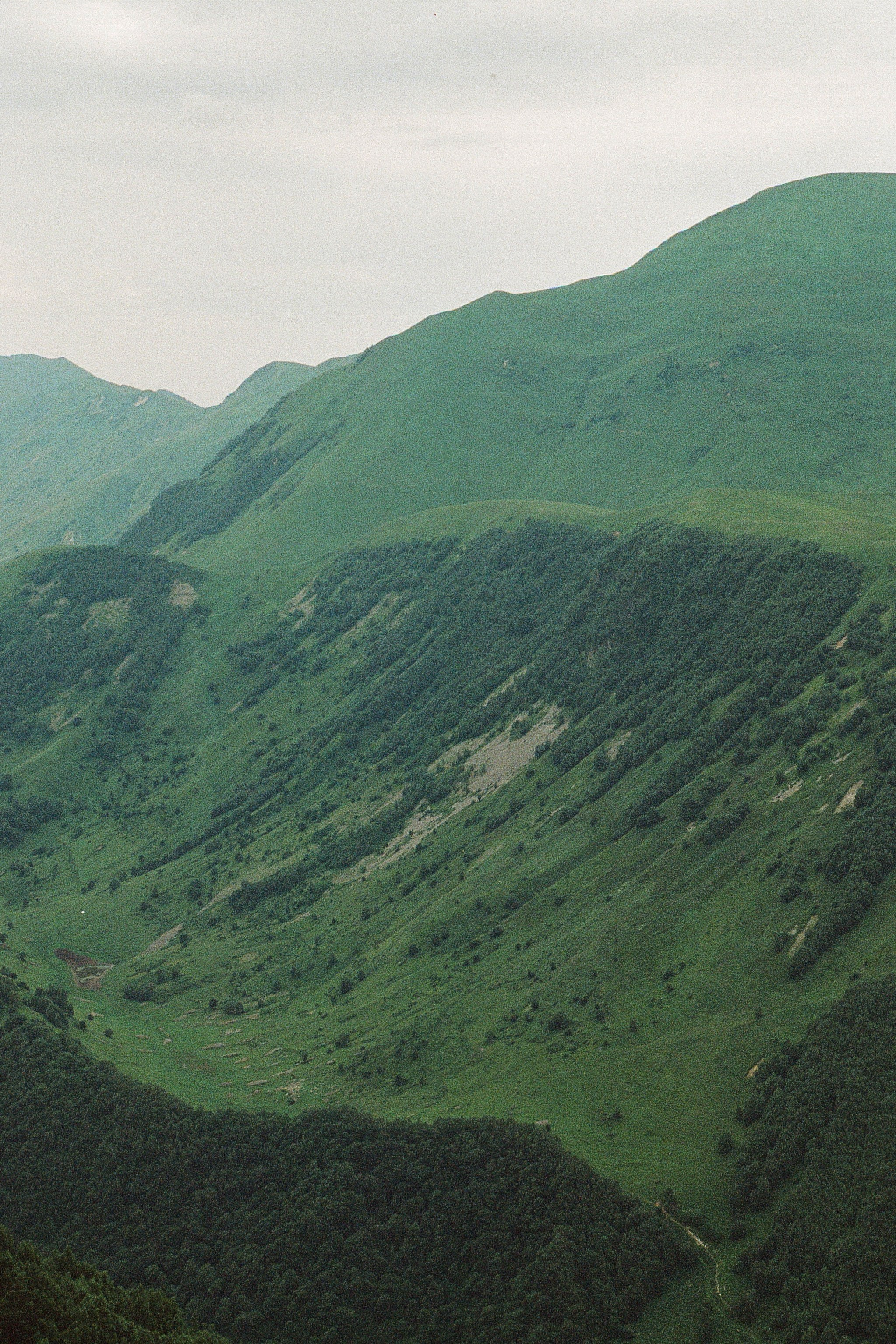 ГРУЗИЯ. ПРИРОДА.25. Профессиональный фотограф Федотова Арина