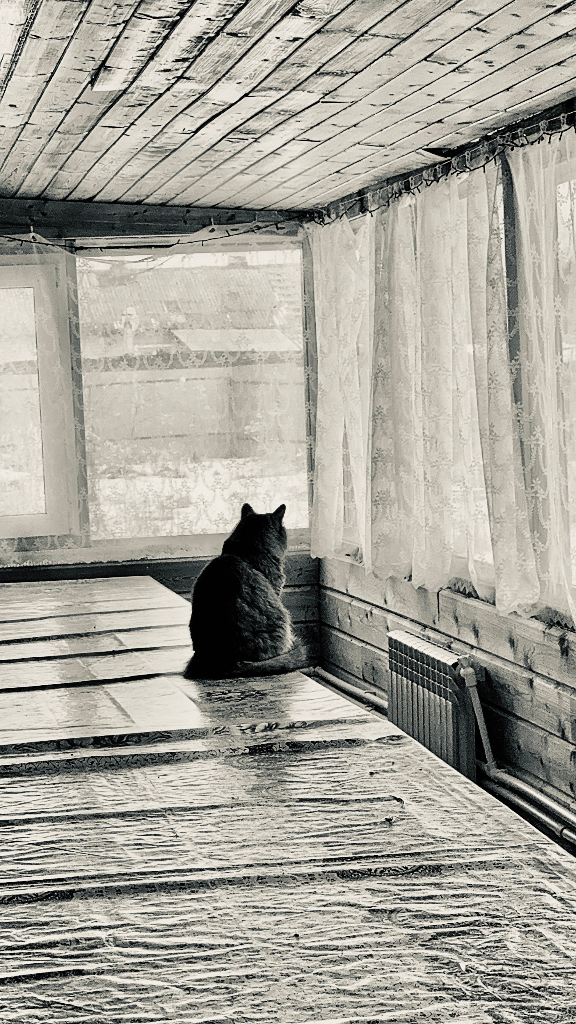 Фотограф Москва. Фотограф и художник в Москве Евгения Нюнина