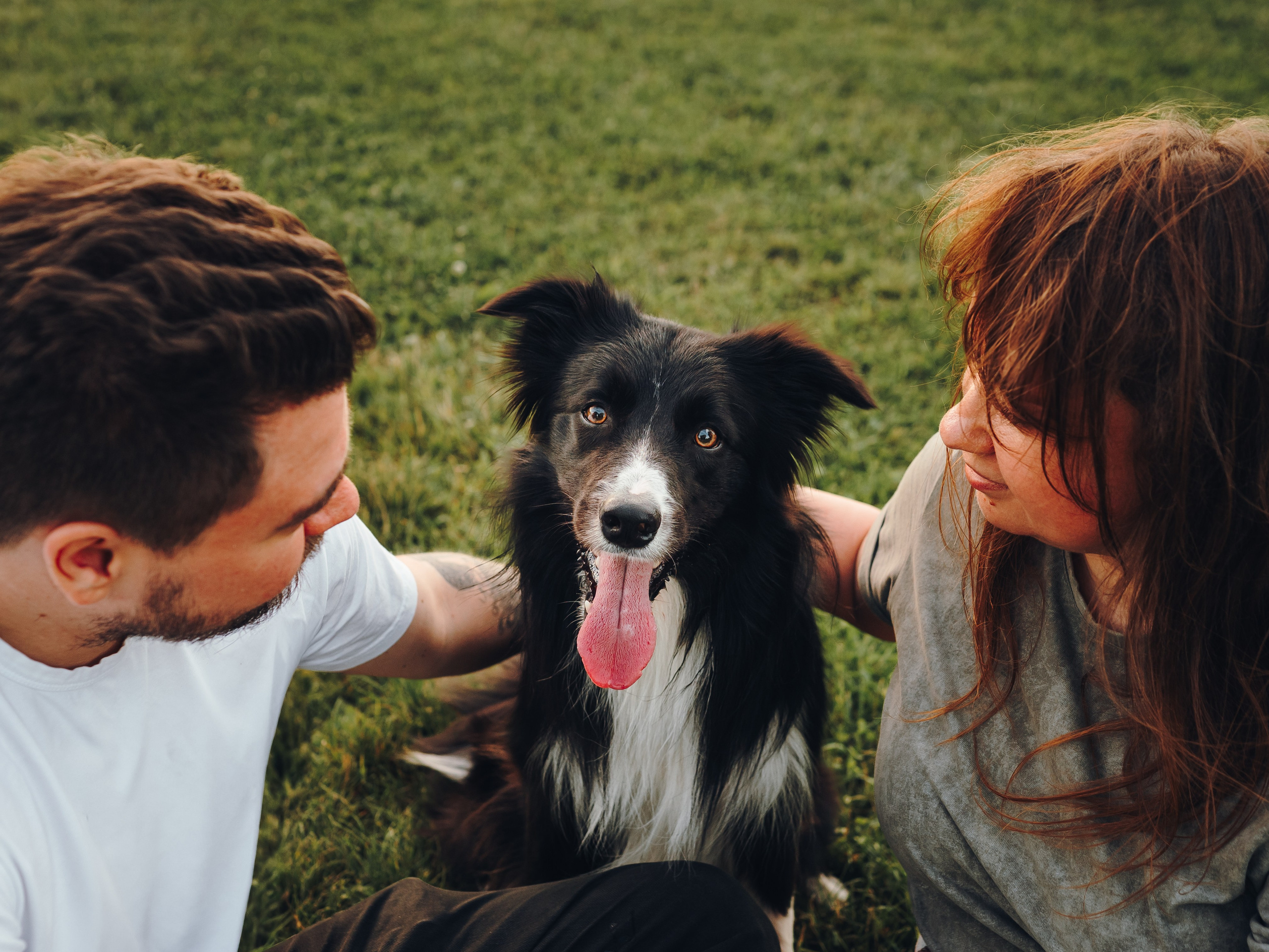 Марина и Эдж. Семейный фотограф анималист Ананьева Мария — Москва