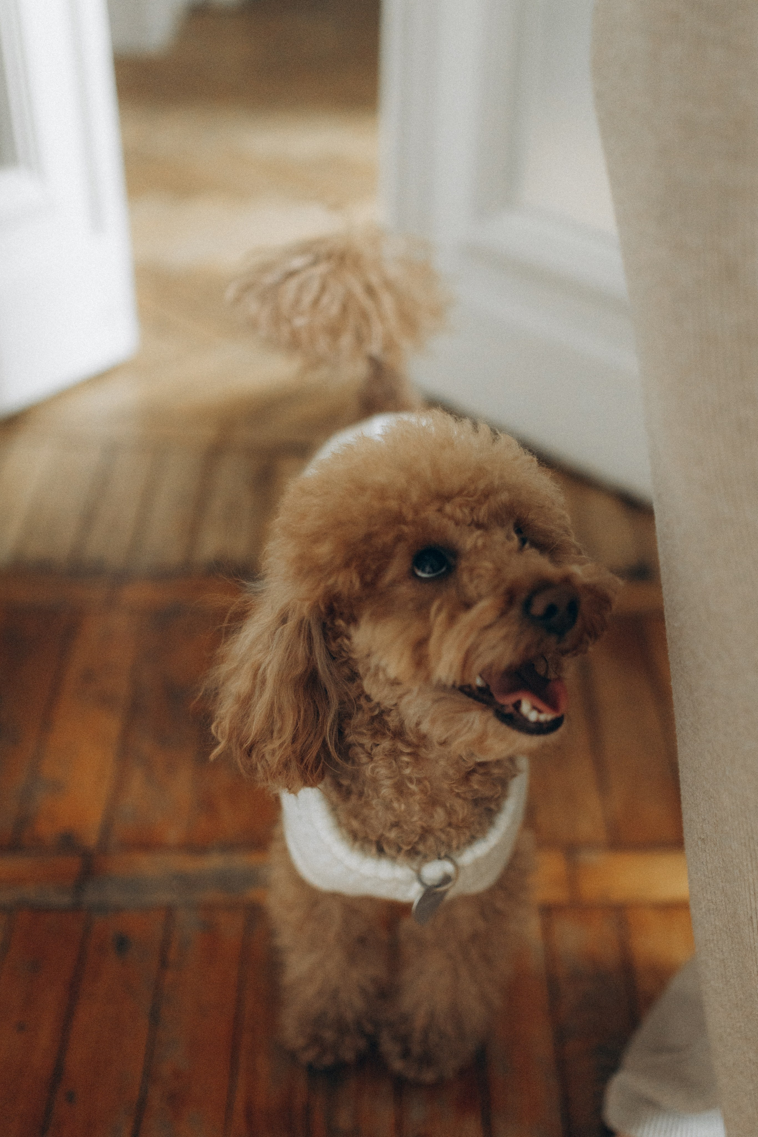 Фотограф НОГИНСК, Москва, Анастасия Белая