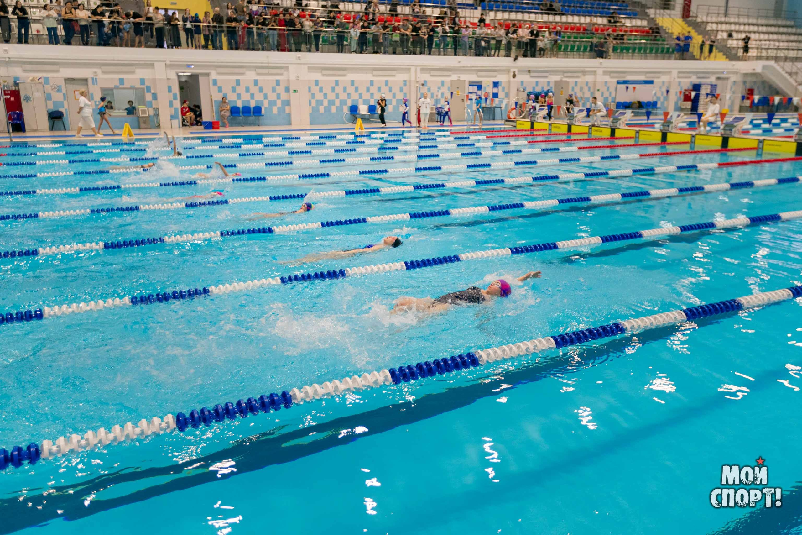 Соревнования по плаванию на призы Деда Мороза. Студия «Мой Спорт!» — все о спорте в Якутии