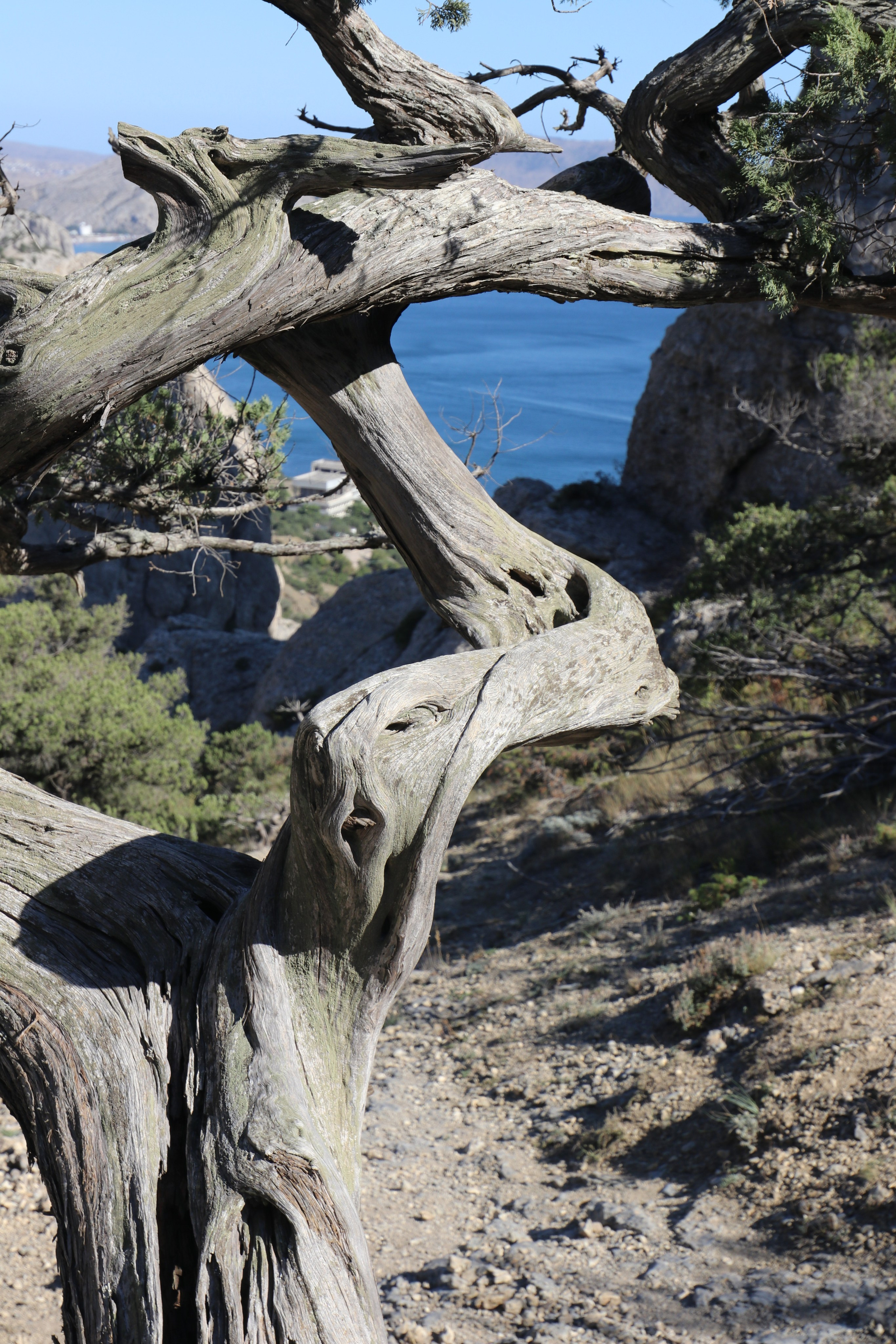 Крым. ЮБК (Судак, Карадаг, гора Клементьева, Меганом, Ильяс-Кая). Сентябрь 2020. Путешественник-фотограф из Санкт-Петербурга Татьяна Свистулина