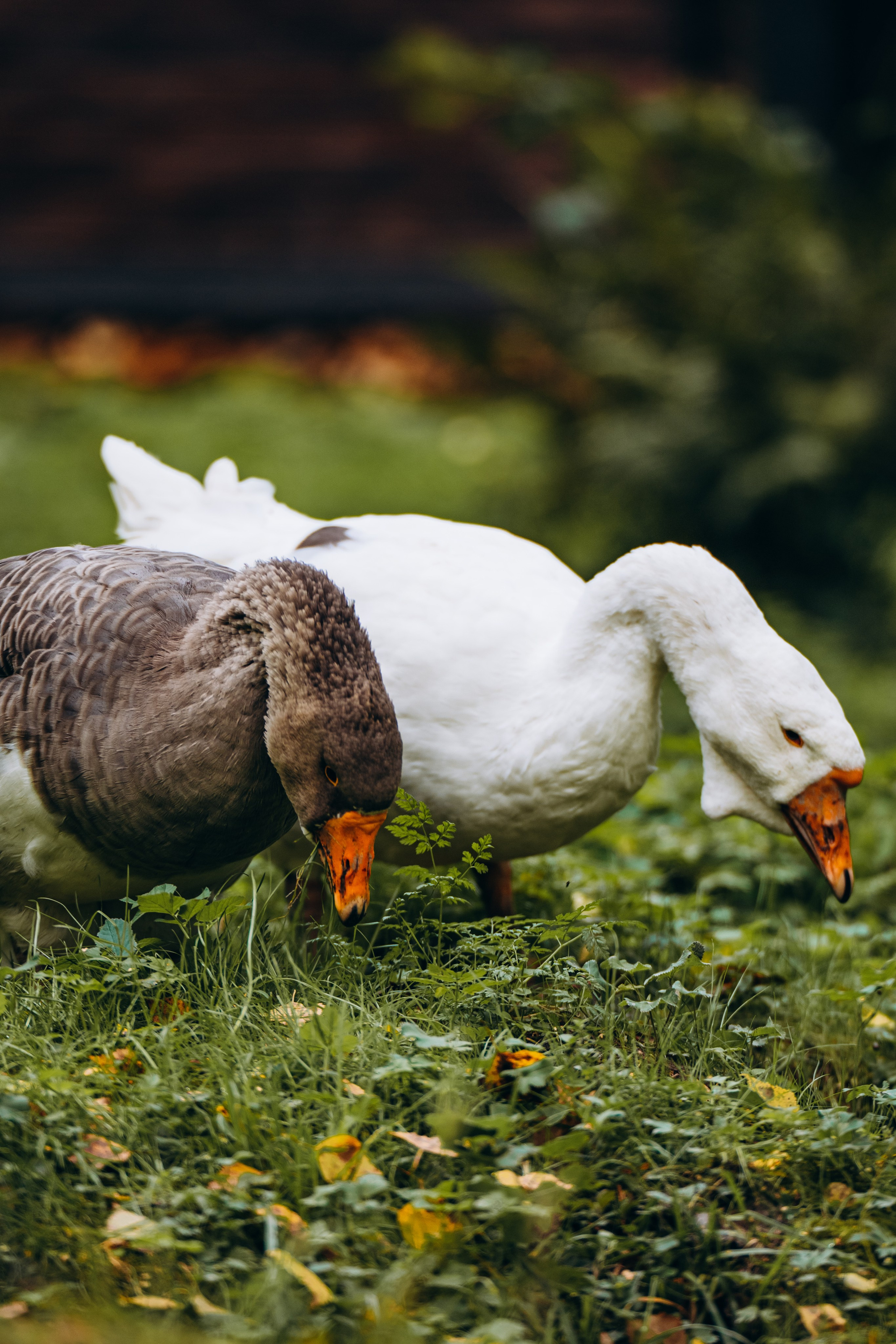 СЕВЕР. Event фотограф Степанова Александра