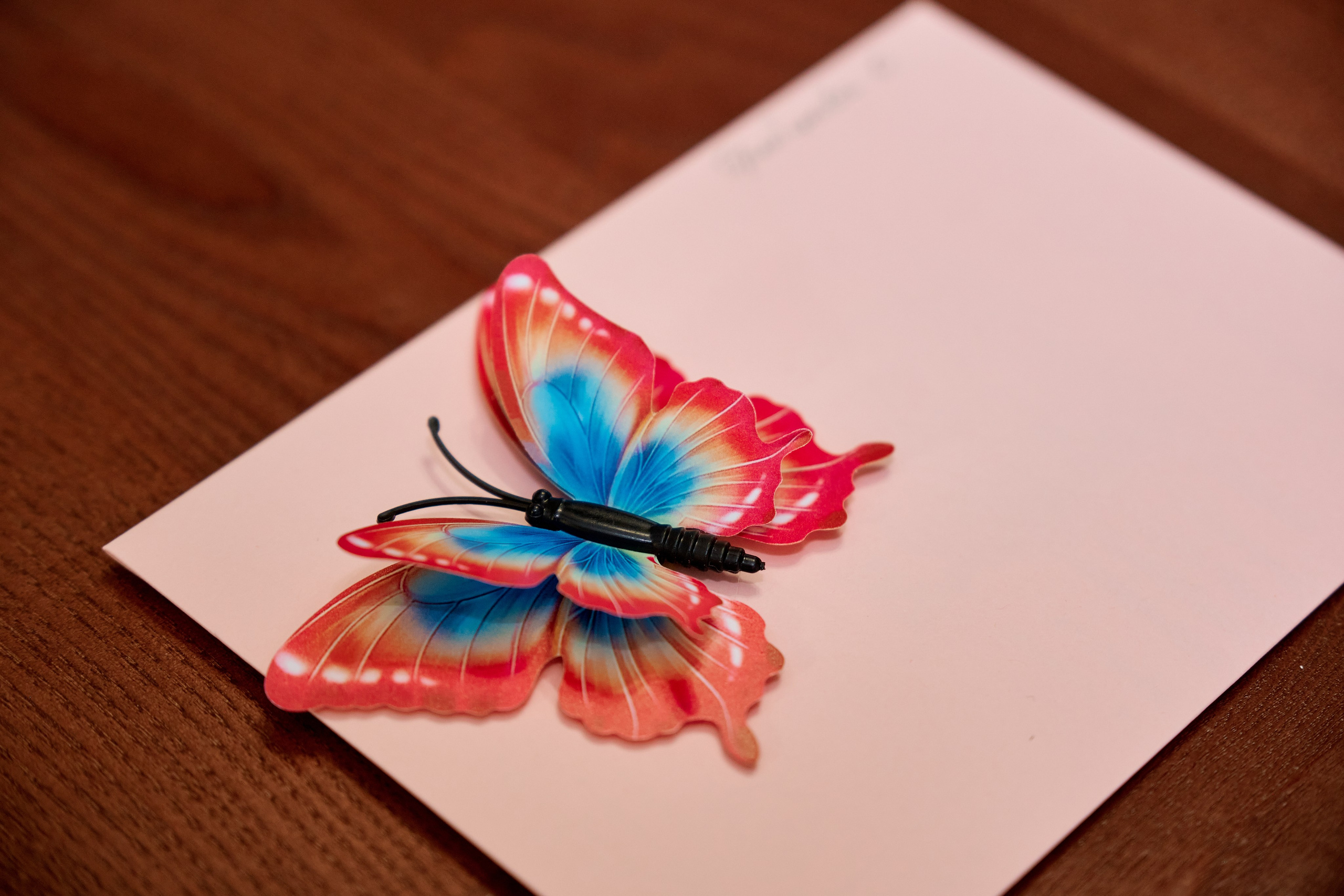 Выпускной. Школа Инессы Кузьменко. Фотограф Таганрог Анна Трайжон