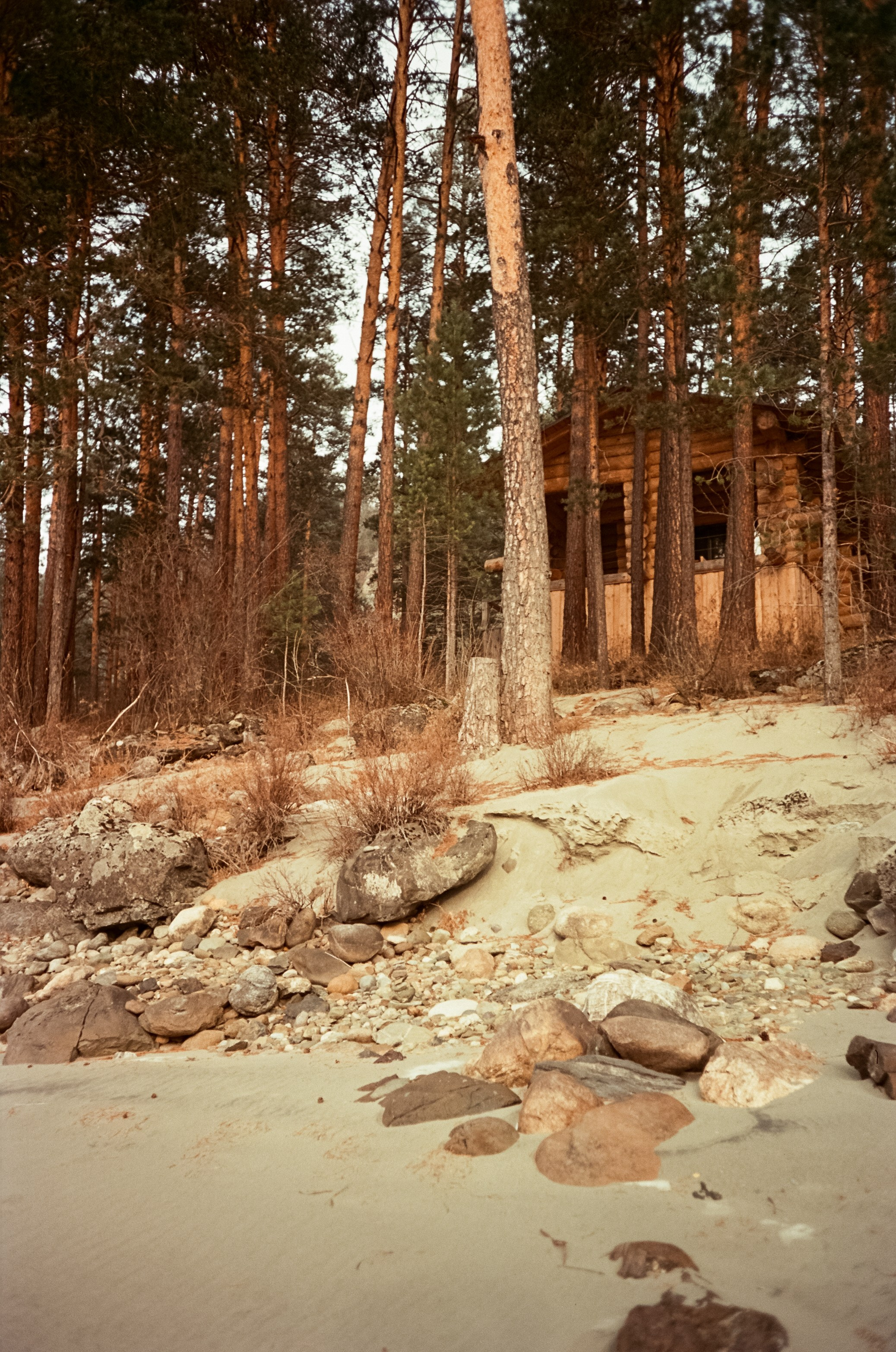 Кызыл-Таш и Семинская поляна. Катунь, пляж, мостки и сосны. Фотограф-документалист Мария Осокина