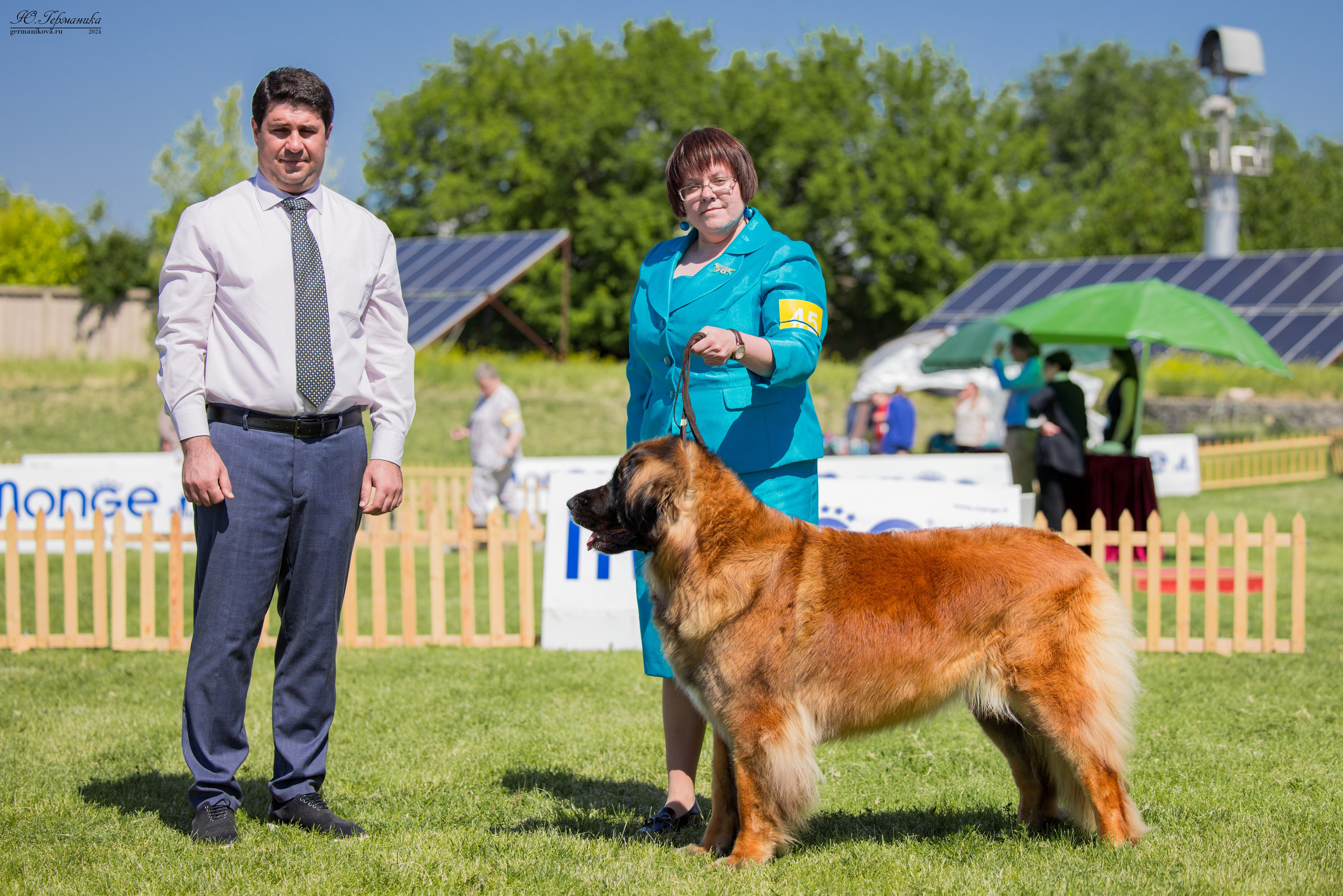 Ереван 3-5.06.2024. Фотограф-анималист Юлия Германика