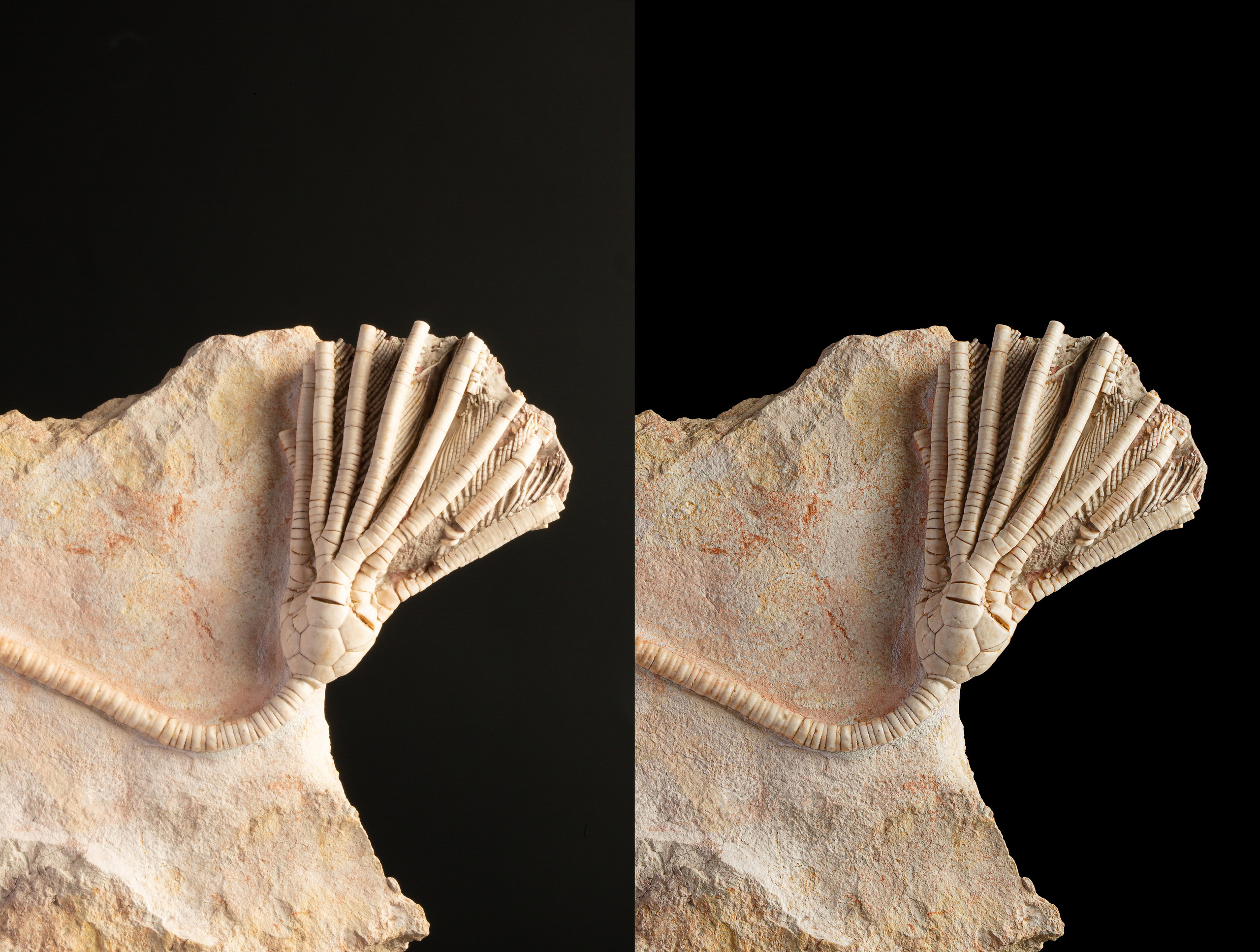 Предметы коллекционирования