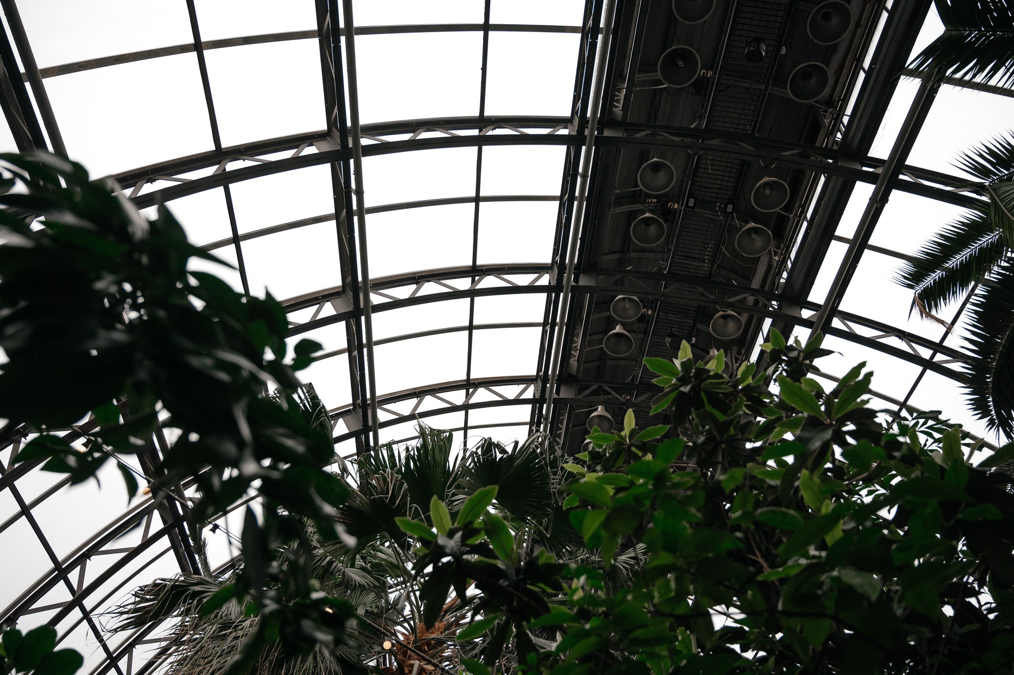 Оранжерея Таврического сада. Свадебный и семейный фотограф из Санкт-Петербурга Климов Анатолий