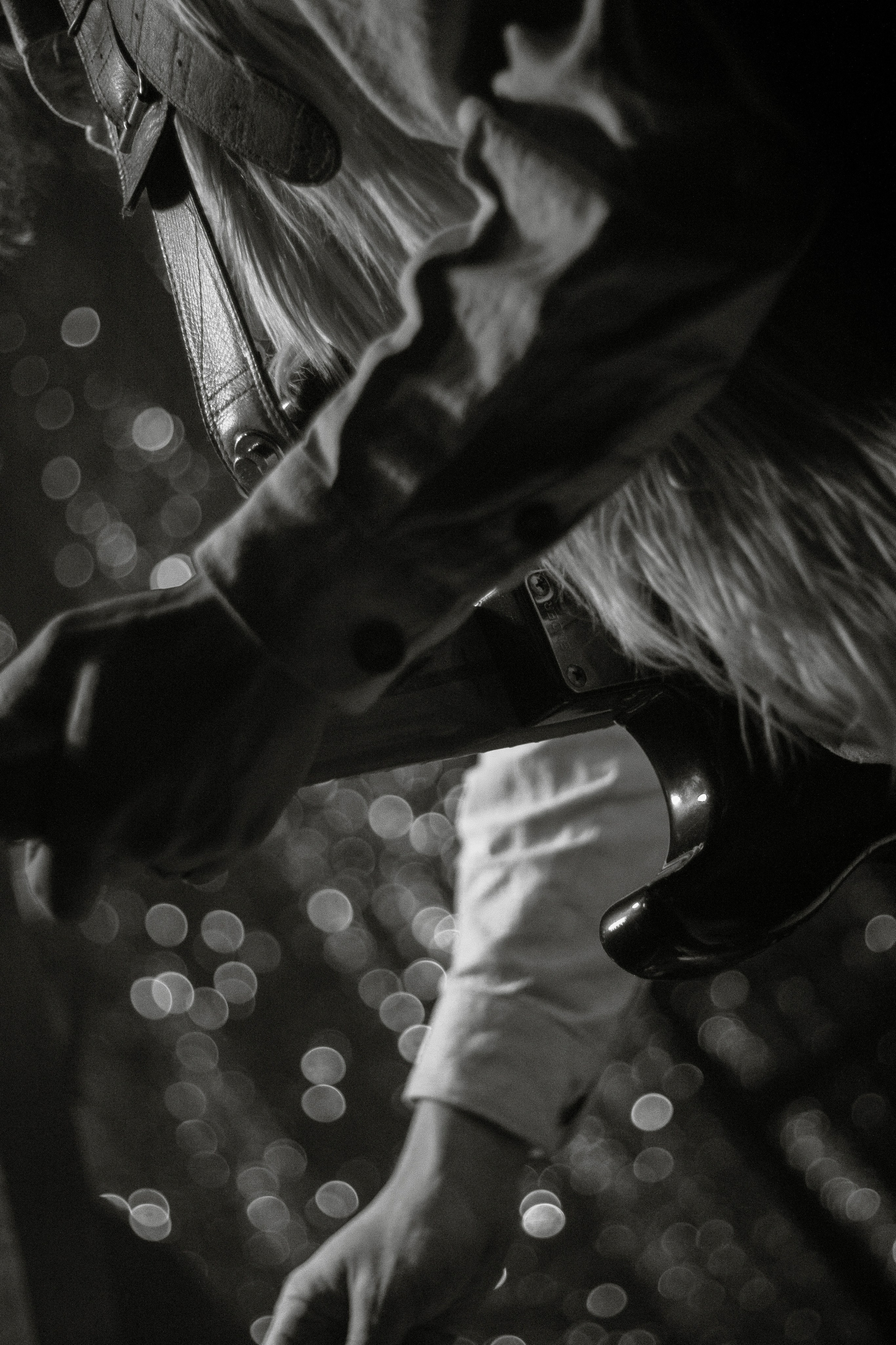 Concerts`. Художественный деятель | фотограф