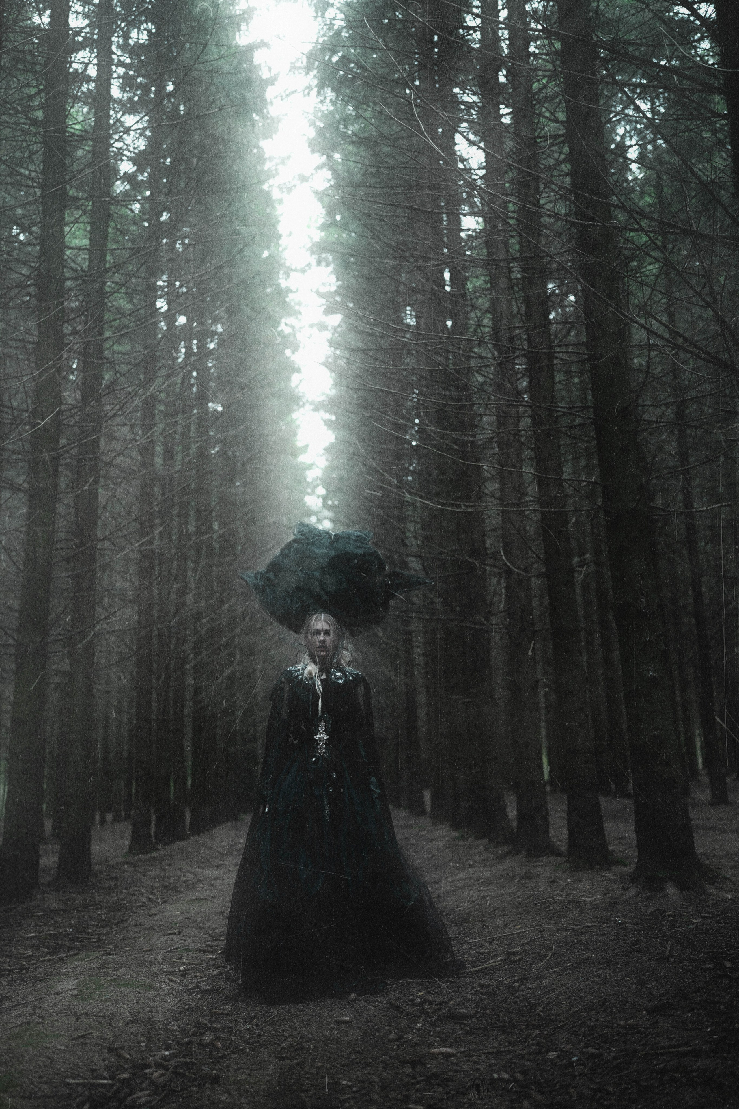 DARK FOREST. Фотограф Julia Nova