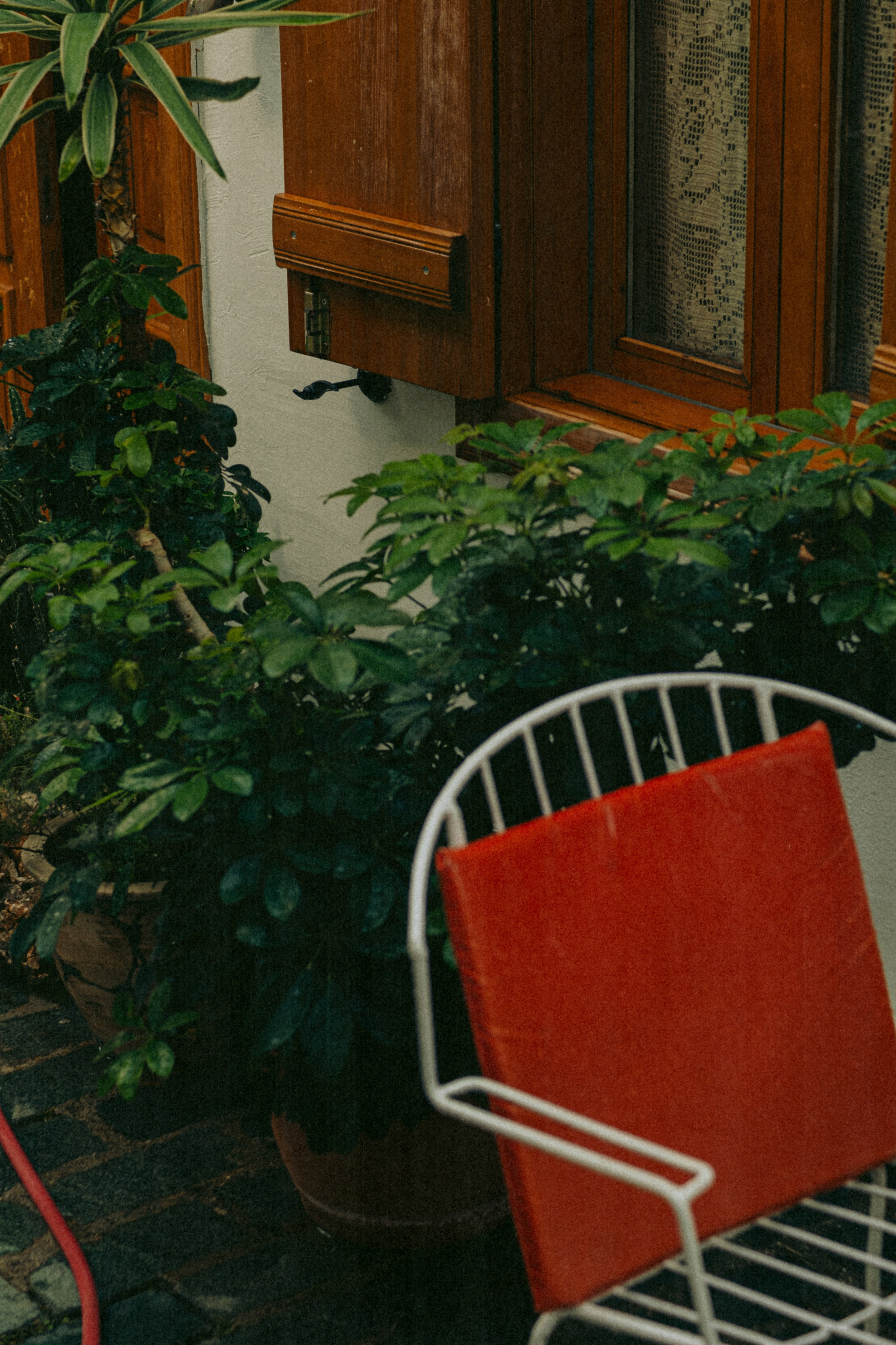 Aliona. Фотограф Ксения Дзюбак Самара-Москва