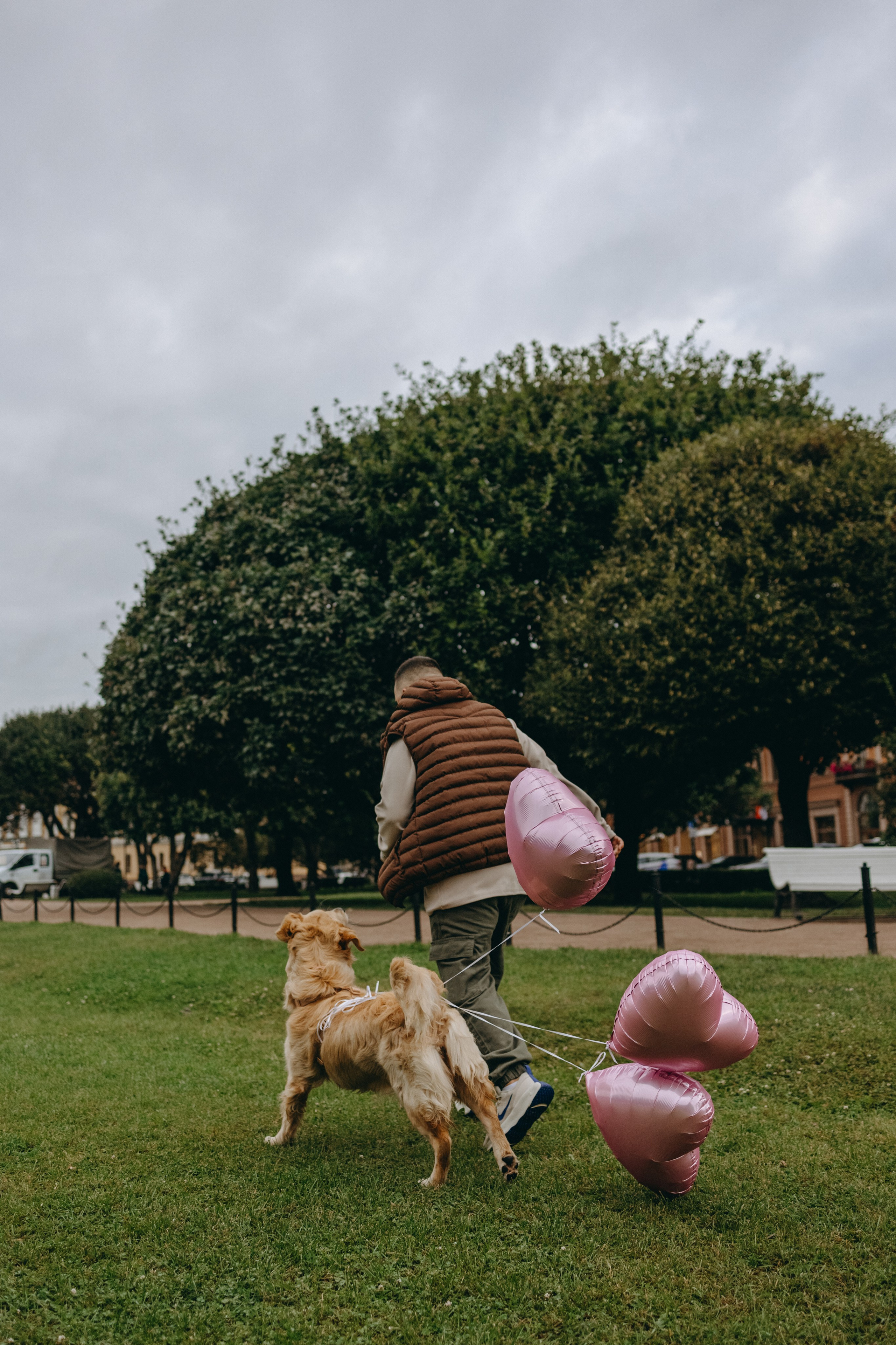 Бетти и ее семья. Фотограф — Анималист | Санкт-Петербург