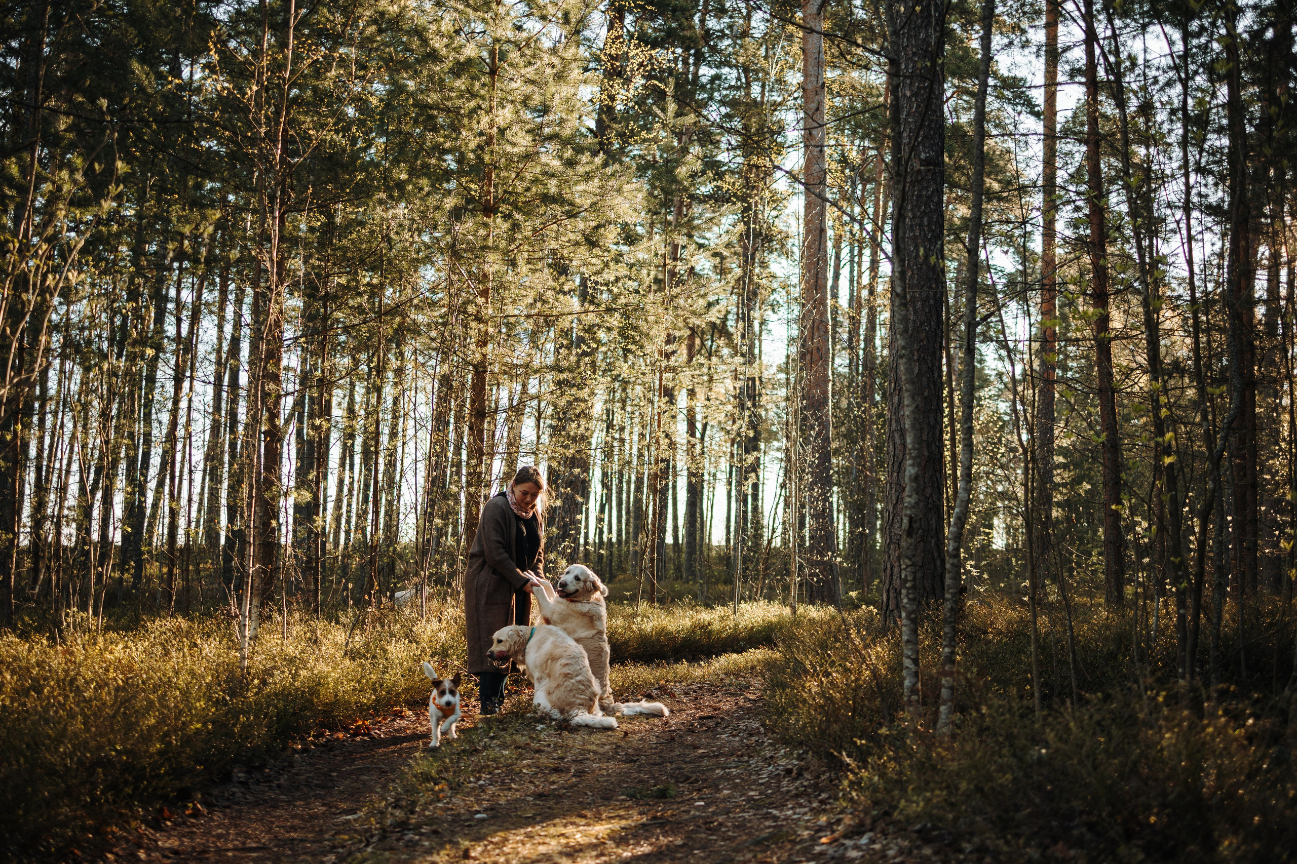 Катя и ее девочки. Фотограф — Анималист | Санкт-Петербург