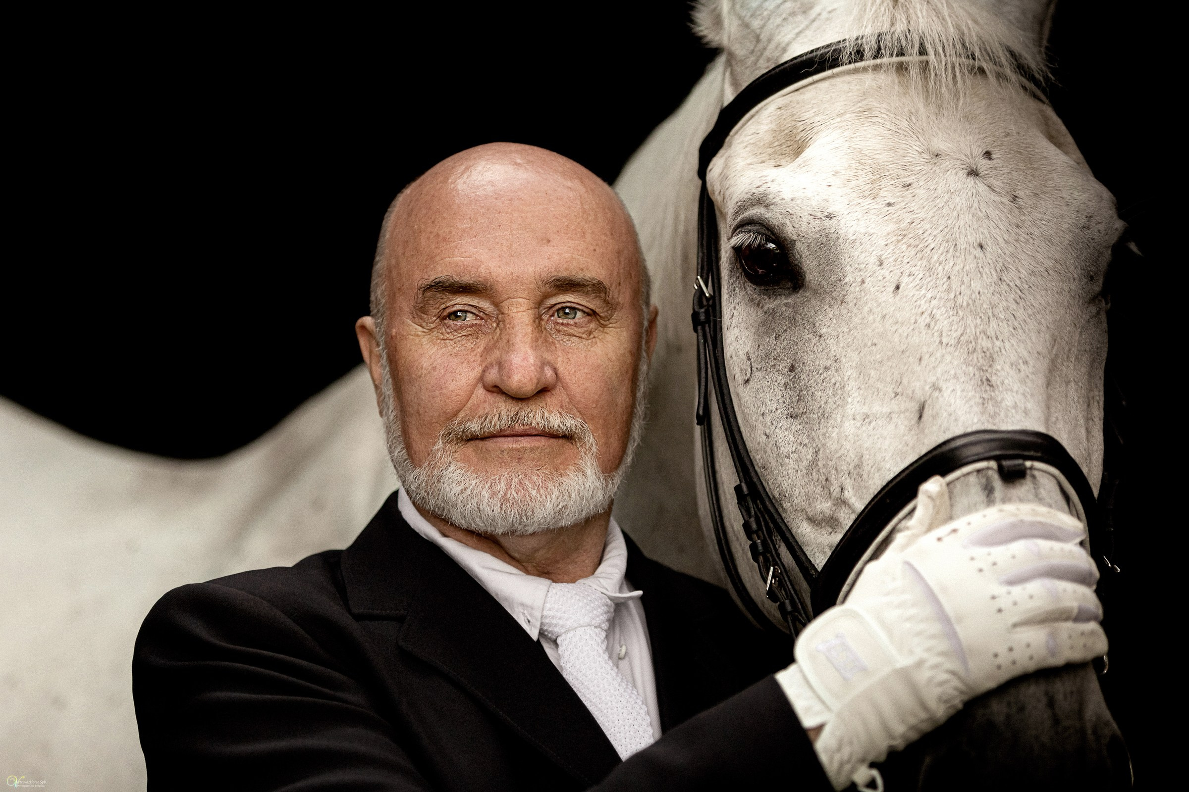 Фотосессии с лошадьми летом. Фотограф женский и мужской портрет Санкт-Петербург