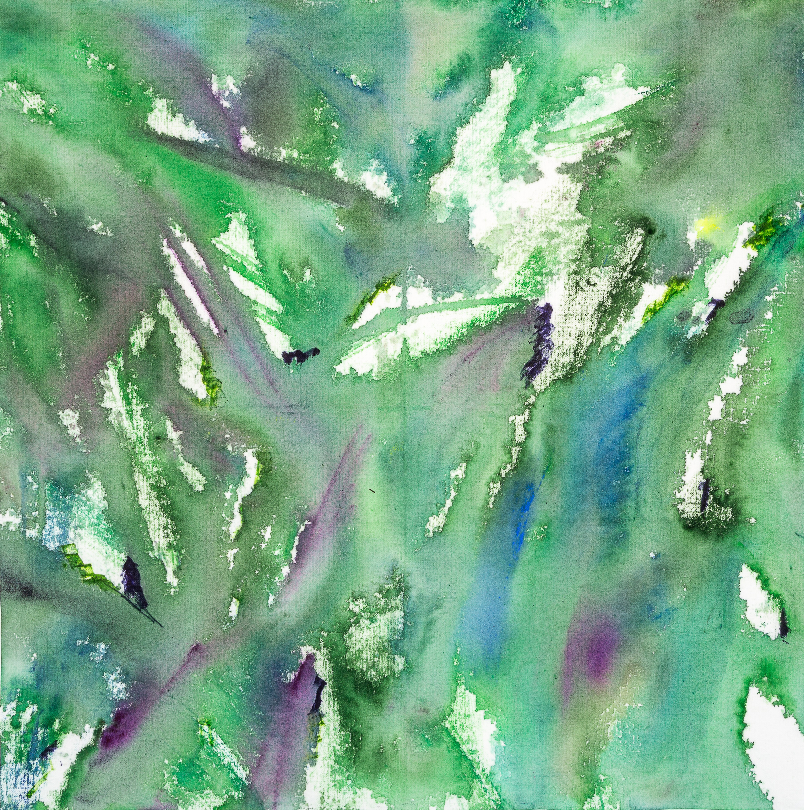 Аня Ким — Дикий сад