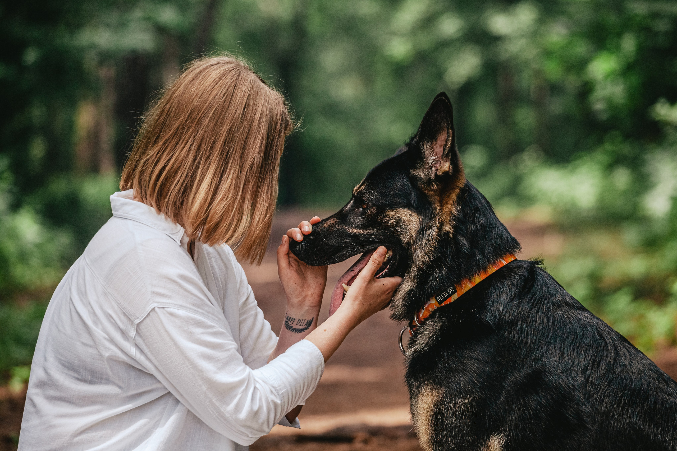 Лесная летняя фотопрогулка. Фотограф-анималист Татьяна Степанова