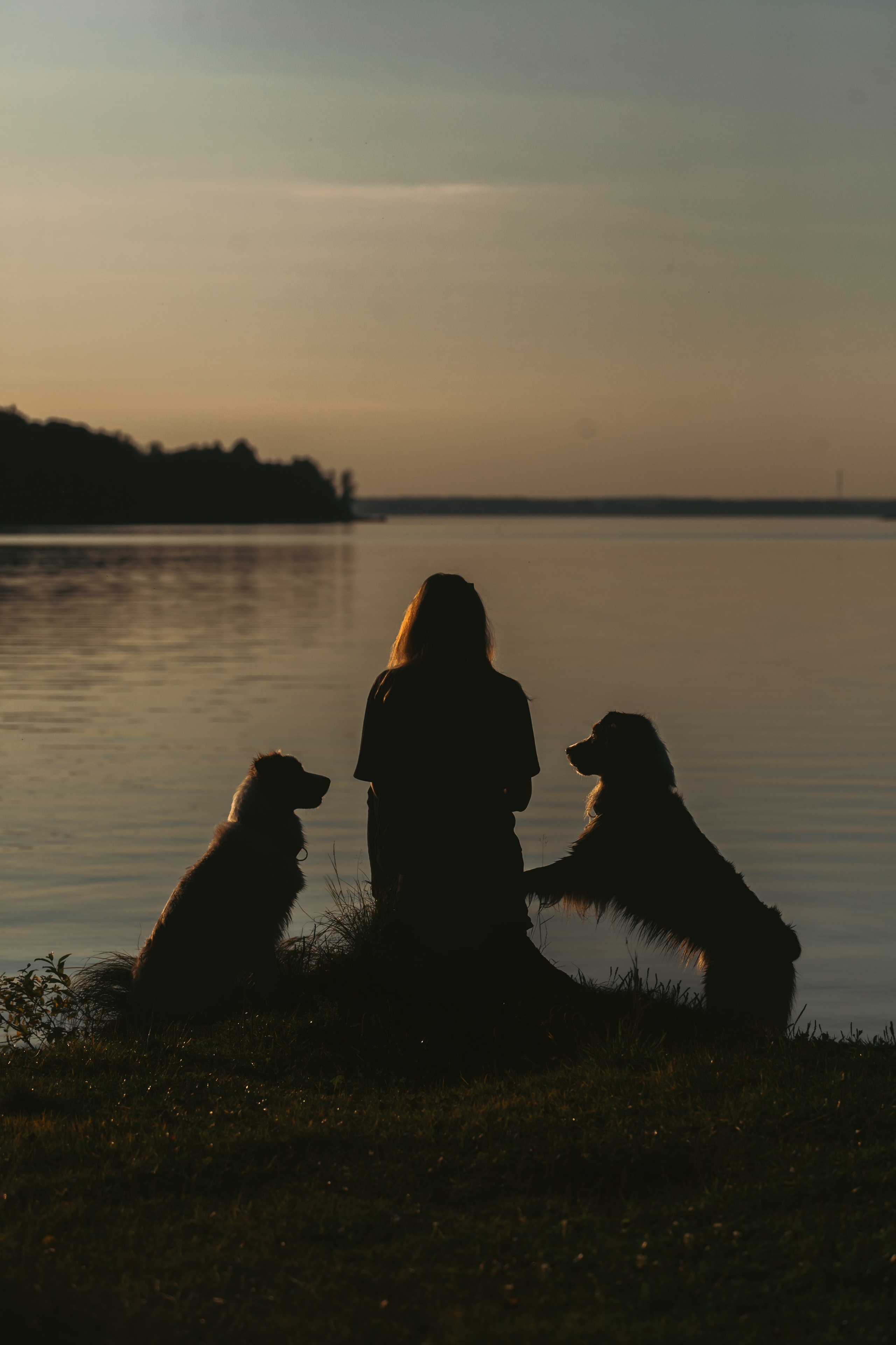 Фотопрогулка в Ленобласти. Фотограф-анималист Татьяна Степанова