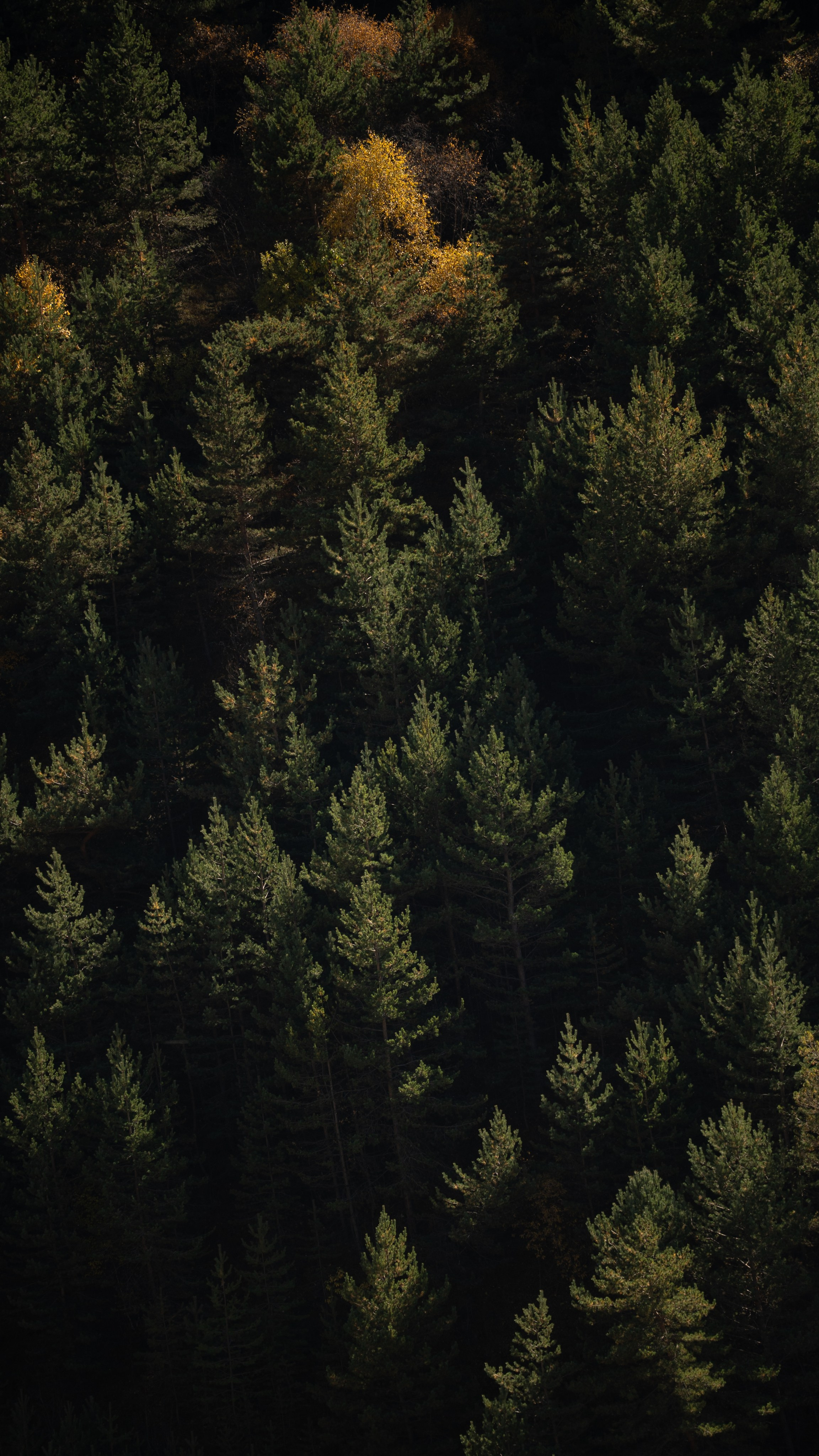 Travel Pack by Zkadoshi. Чеченский фотограф автор первого Чеченского парфюма