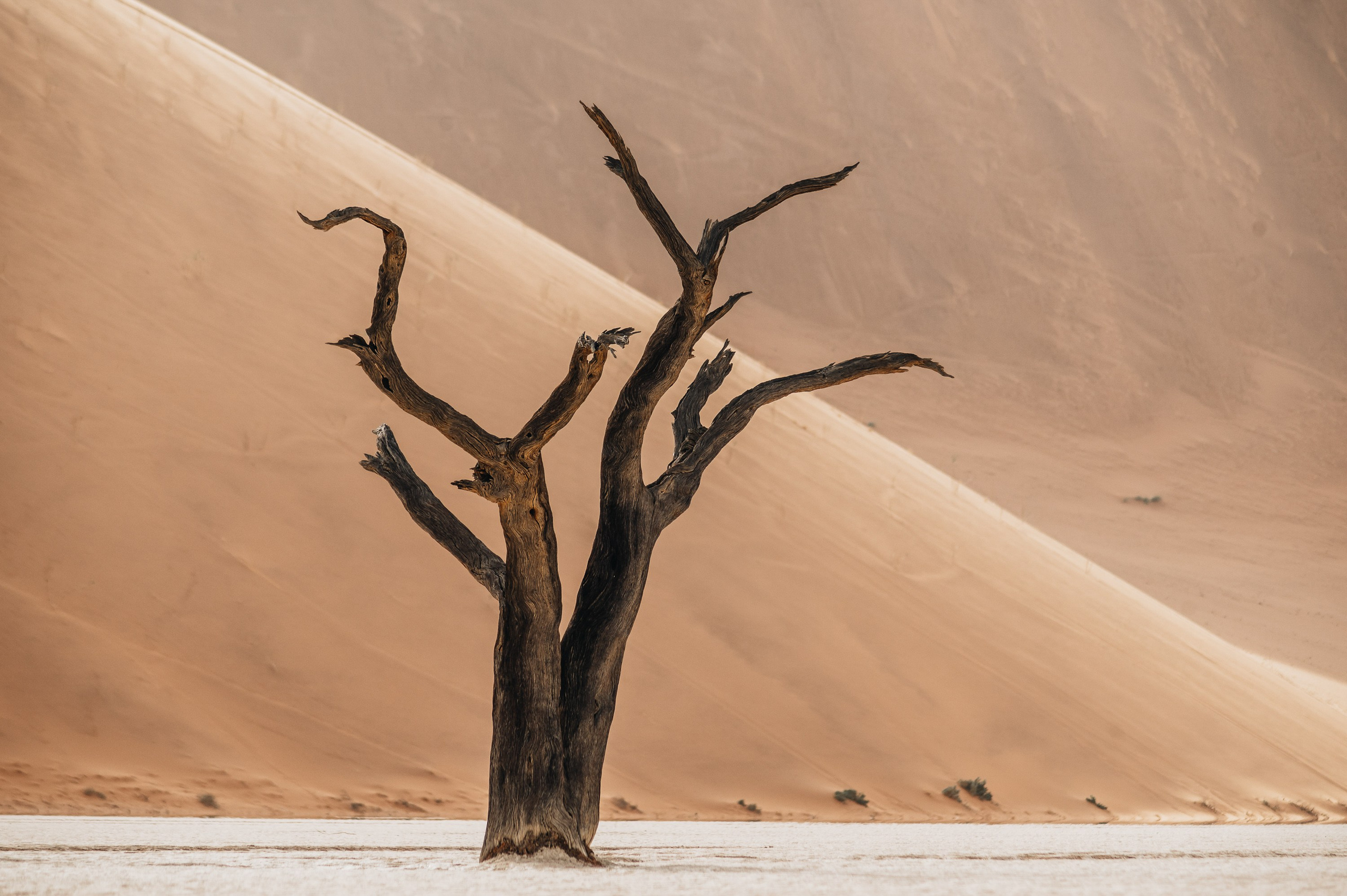 НАМИБИЯ. Роадтрип