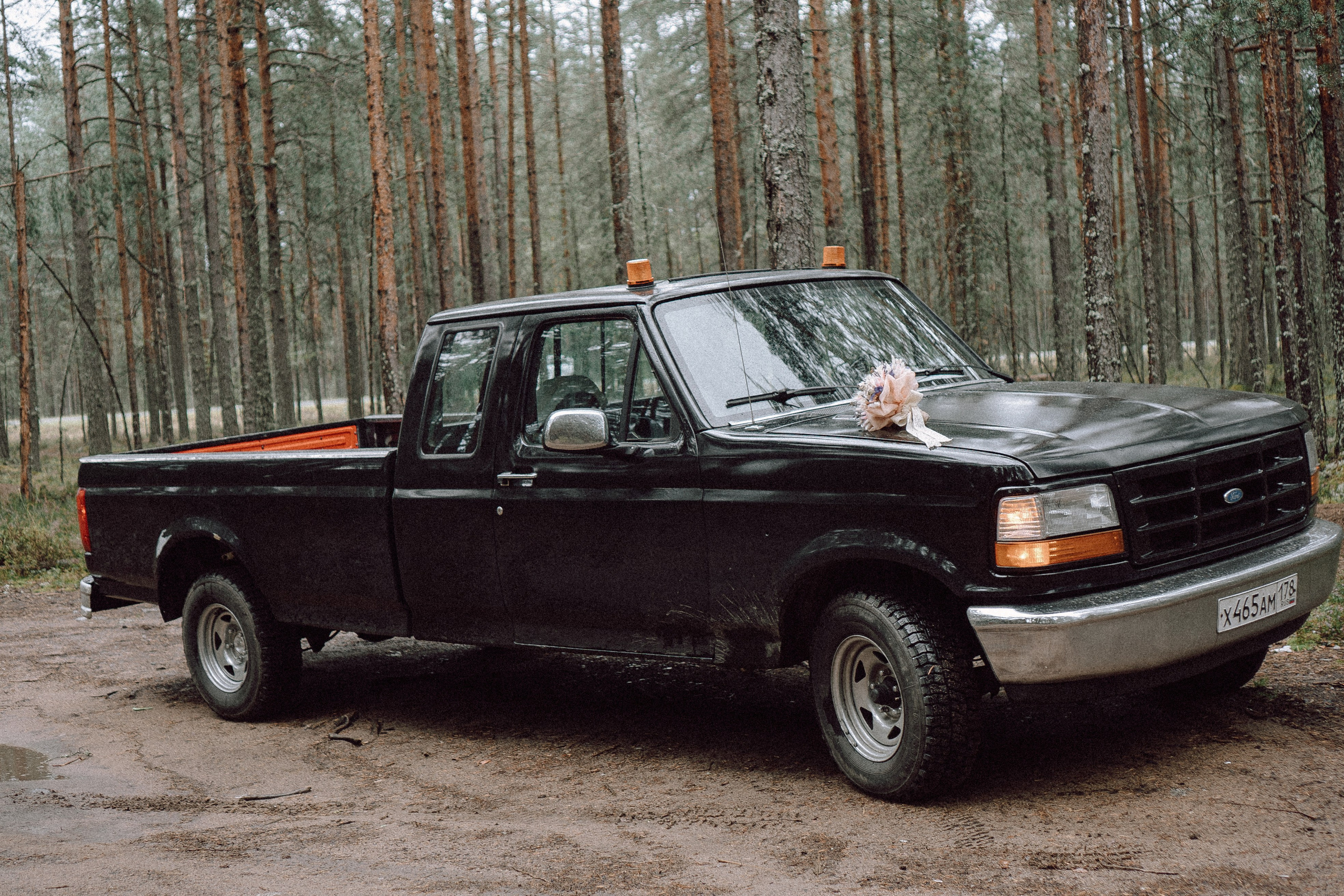 СВАДЕБНАЯ ФОТОСЕССИИЯ ПАРЫ В ГОРОДЕ ПРИОЗЕРСК В СОСНОВОМ ЛЕСУ И С ПИКАПОМ. Профессиональный фотограф, Санкт-Петербург — Виктория Богомолова