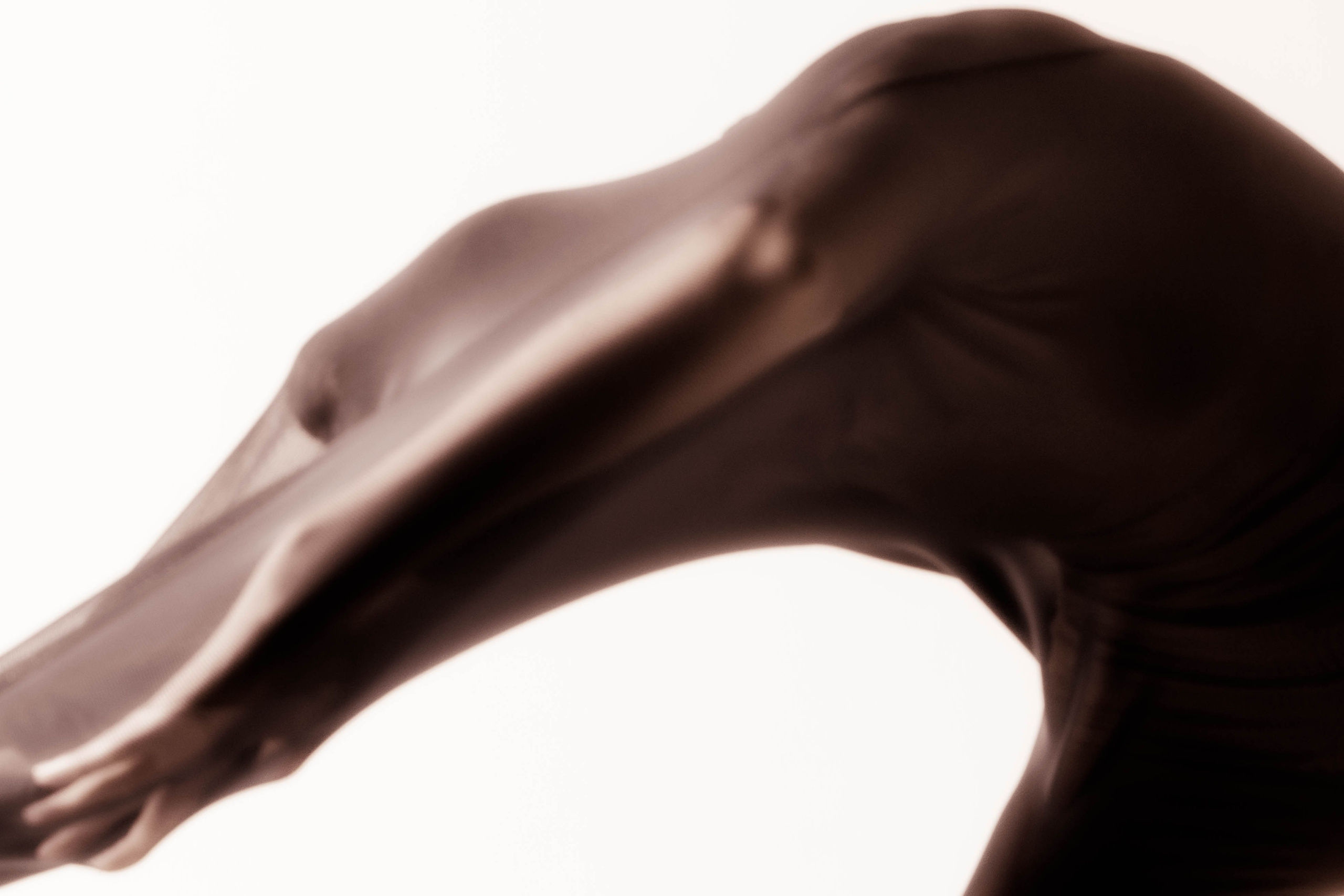 Зарождение. Фотограф/ видеограф Катя Ильина Калуга