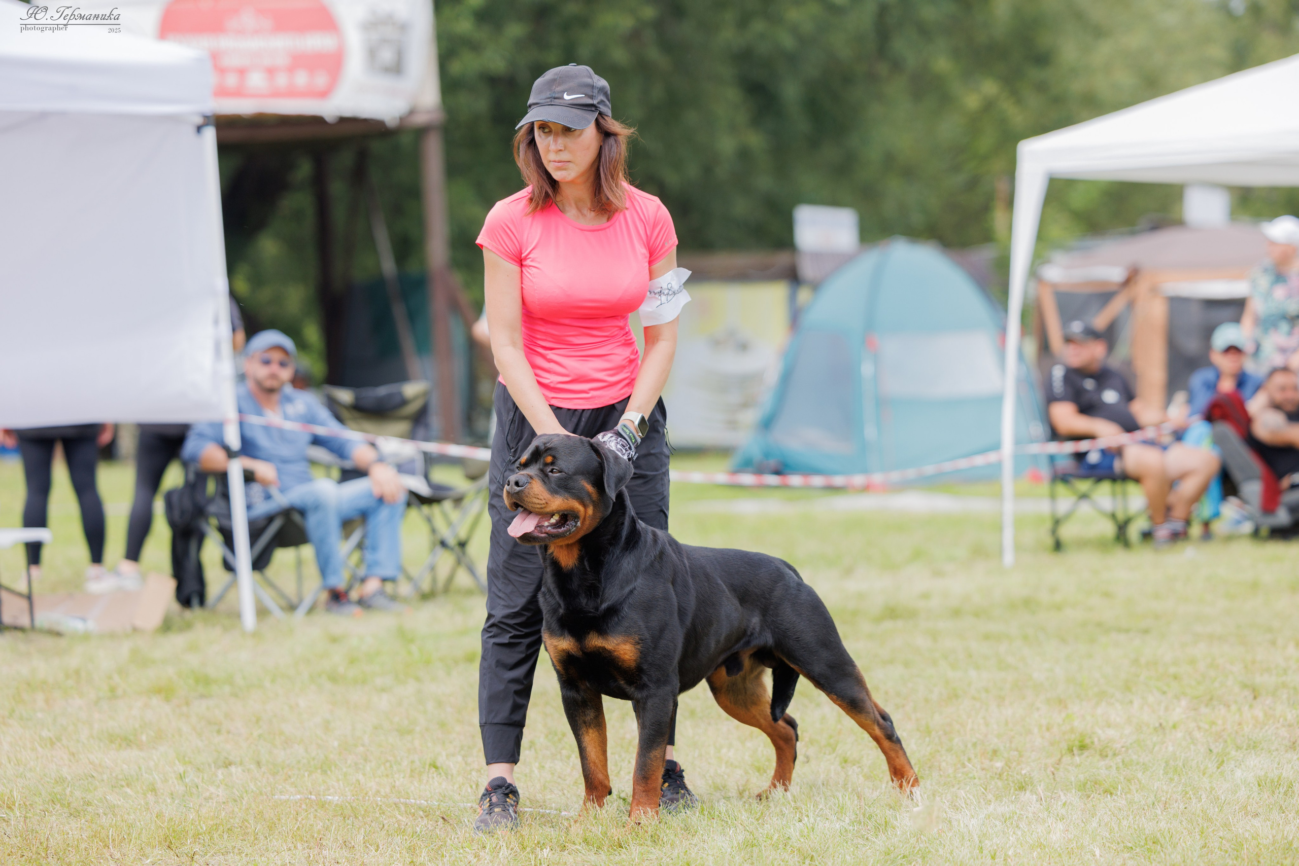 Рязань 2хмоно ротвейлеры 16-17.08.2025. Фотограф-анималист Юлия Германика