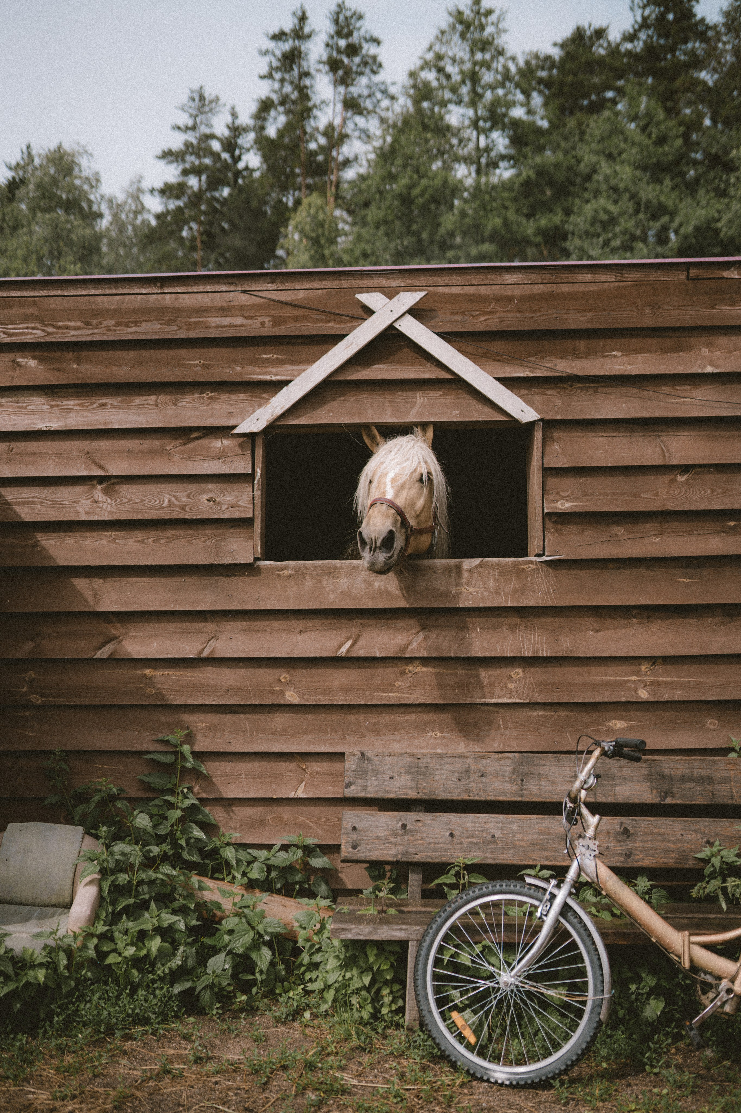 Санкт-Петербург. Фотограф Екатерина Катунова | Москва