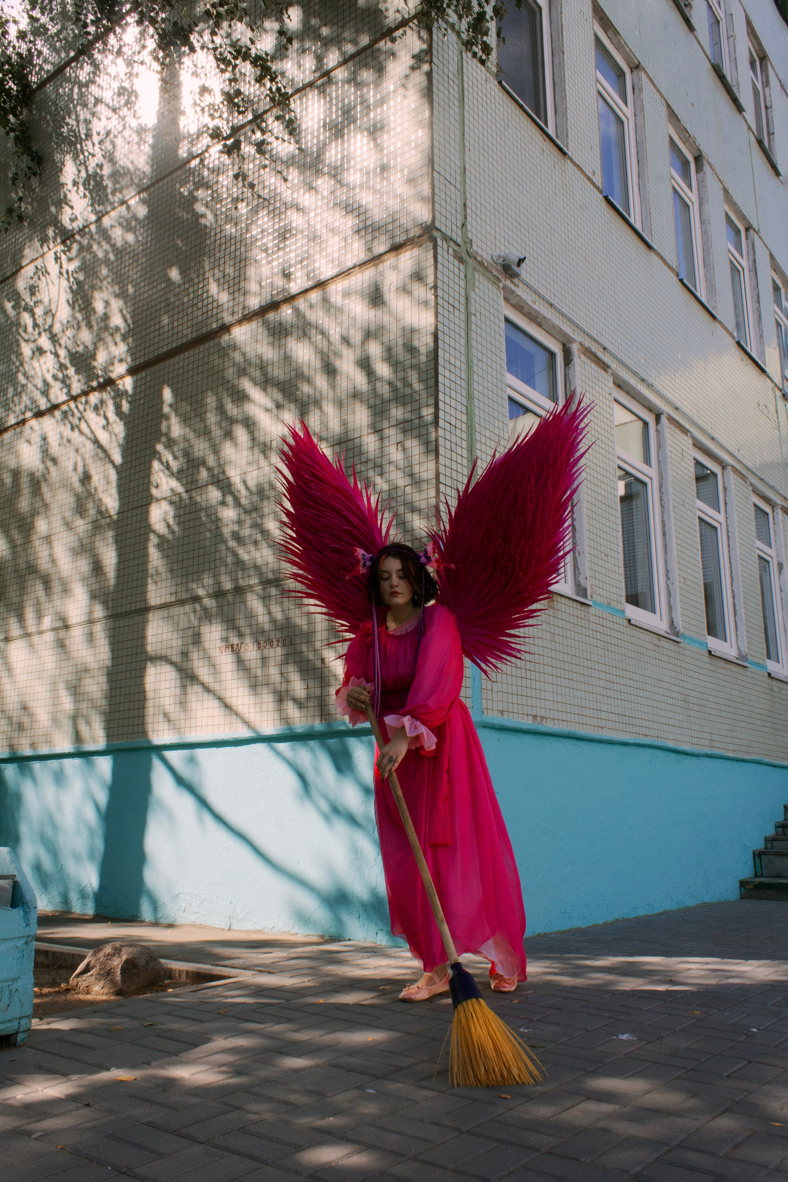 Земля под розовыми крыльями